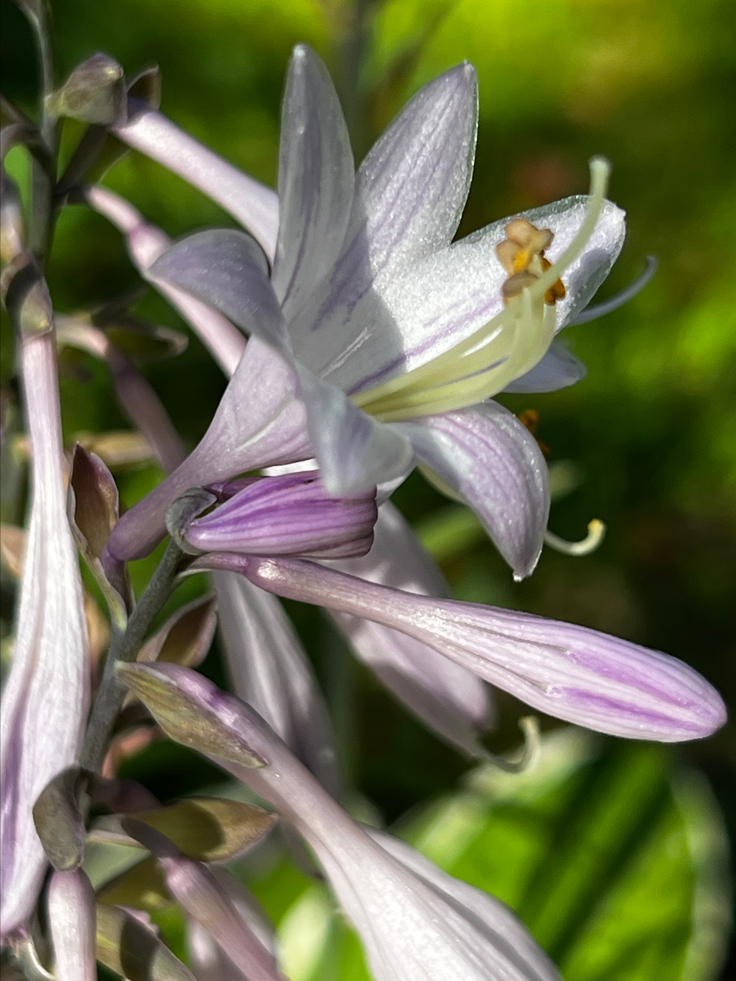 Tantric 2023. Александр Прищепов - фотограф, режиссёр, продюсер