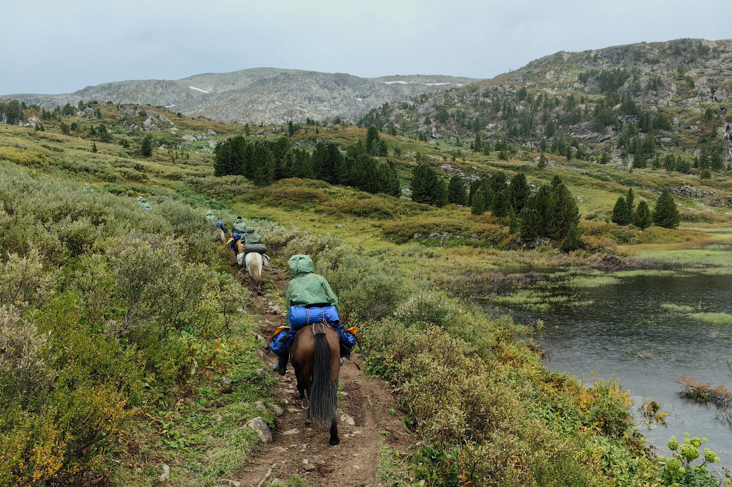 Главная. Юрий Березнюк. Фотограф в Новороссийске. Фотожурналистика