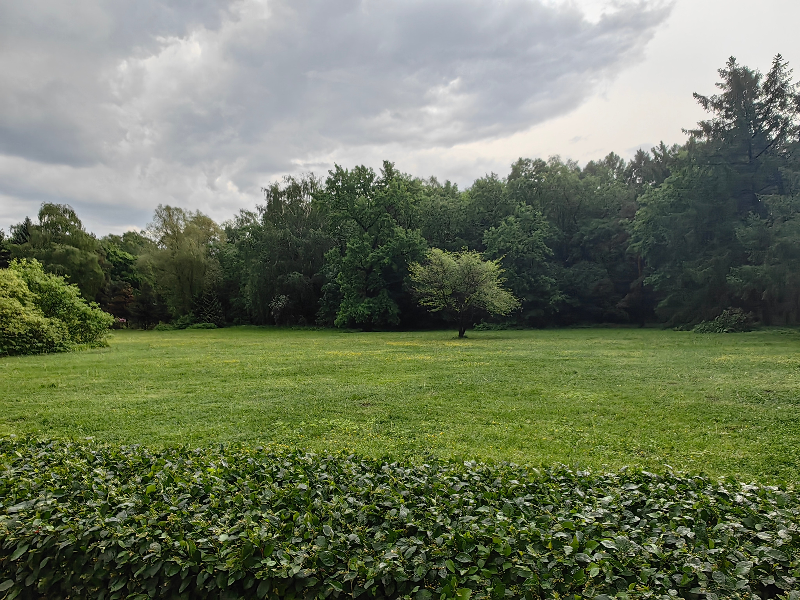 Парк БОТАНИЧЕСКИЙ САД обзор. Фотограф в Москве и Московской области (Ю-В) Олеся Макарова