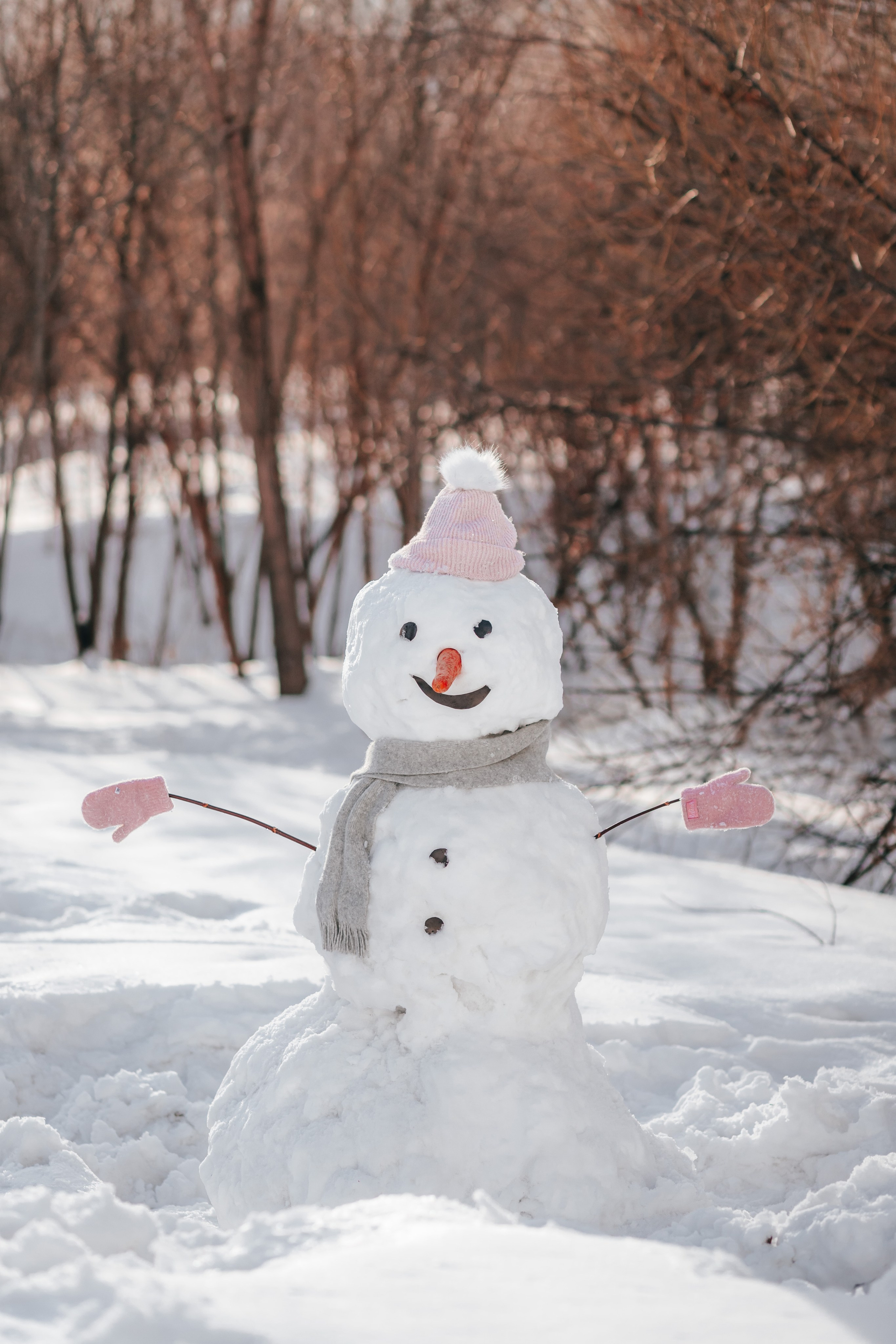 Снеговик. Семейный и детский фотограф в г. Новосибирске Макеева Анастасия