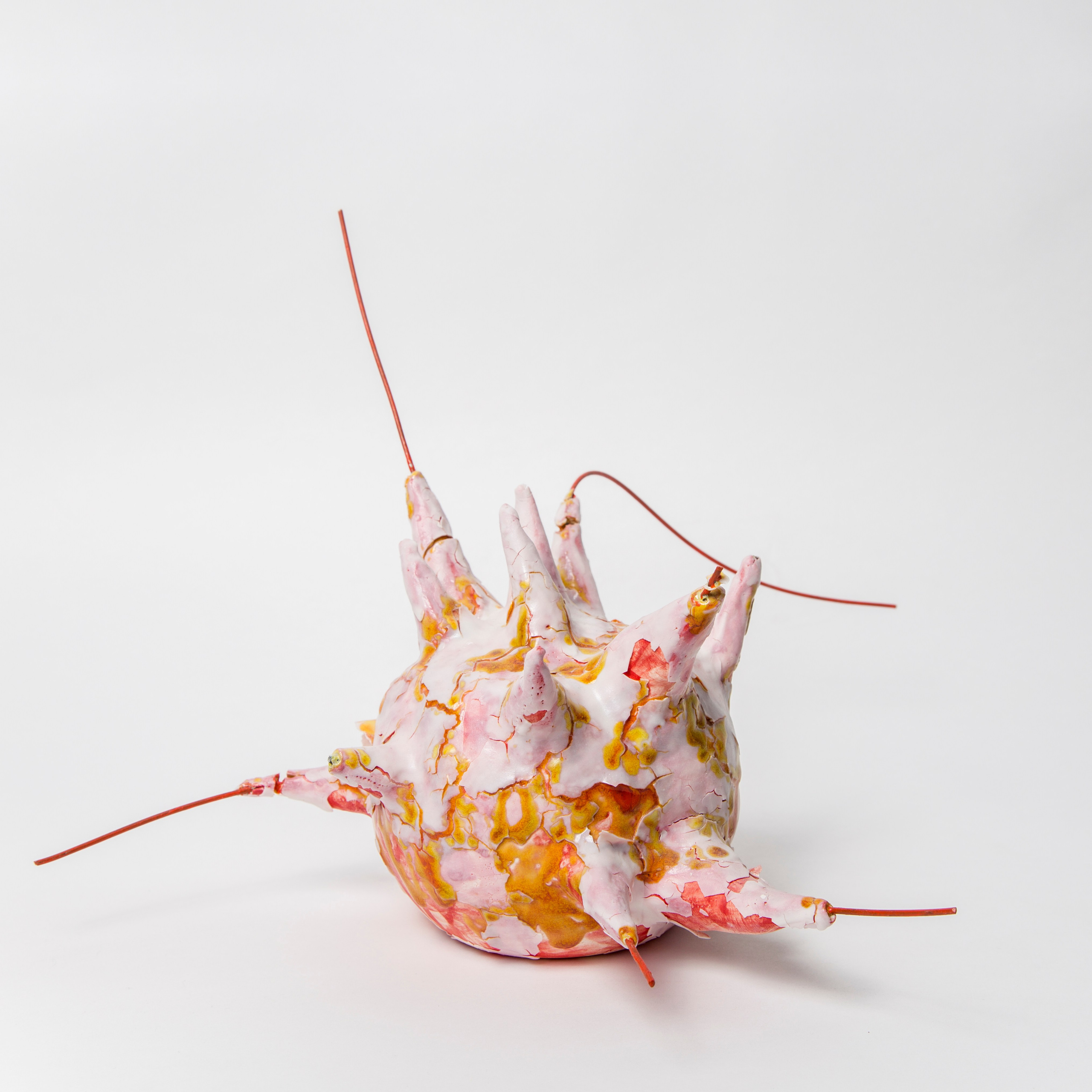 Кома. Художник керамист Вика Уйстрайх