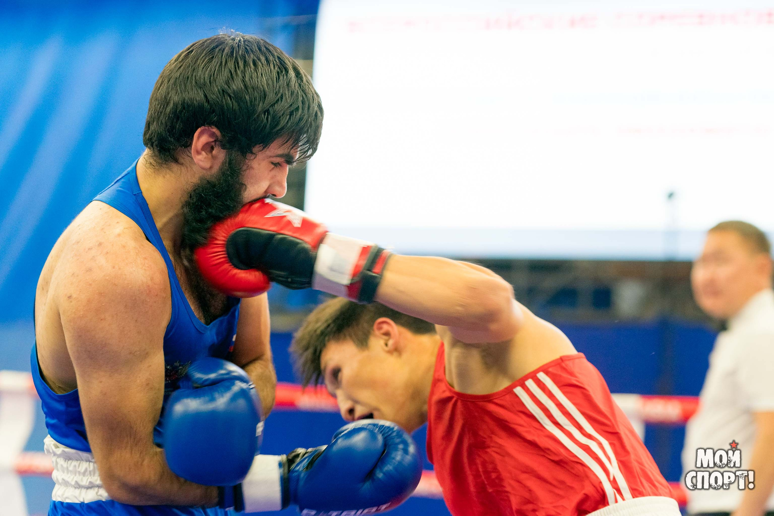 Всероссийский турнир по боксу памяти А. И. Федотова. Студия «Мой Спорт!» — все о спорте в Якутии