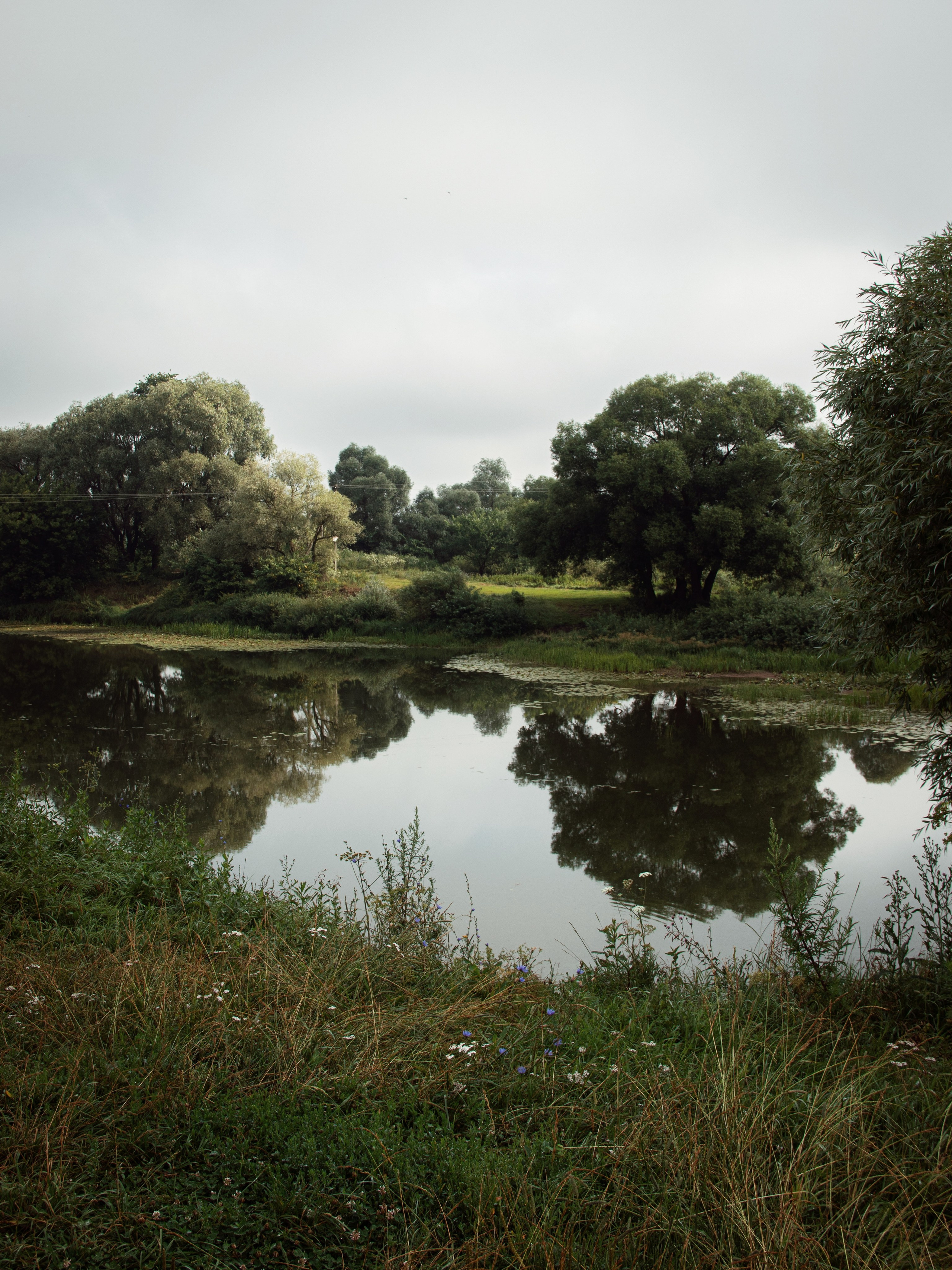 Застывшая утренняя тишина. С любовью, фотохудожник