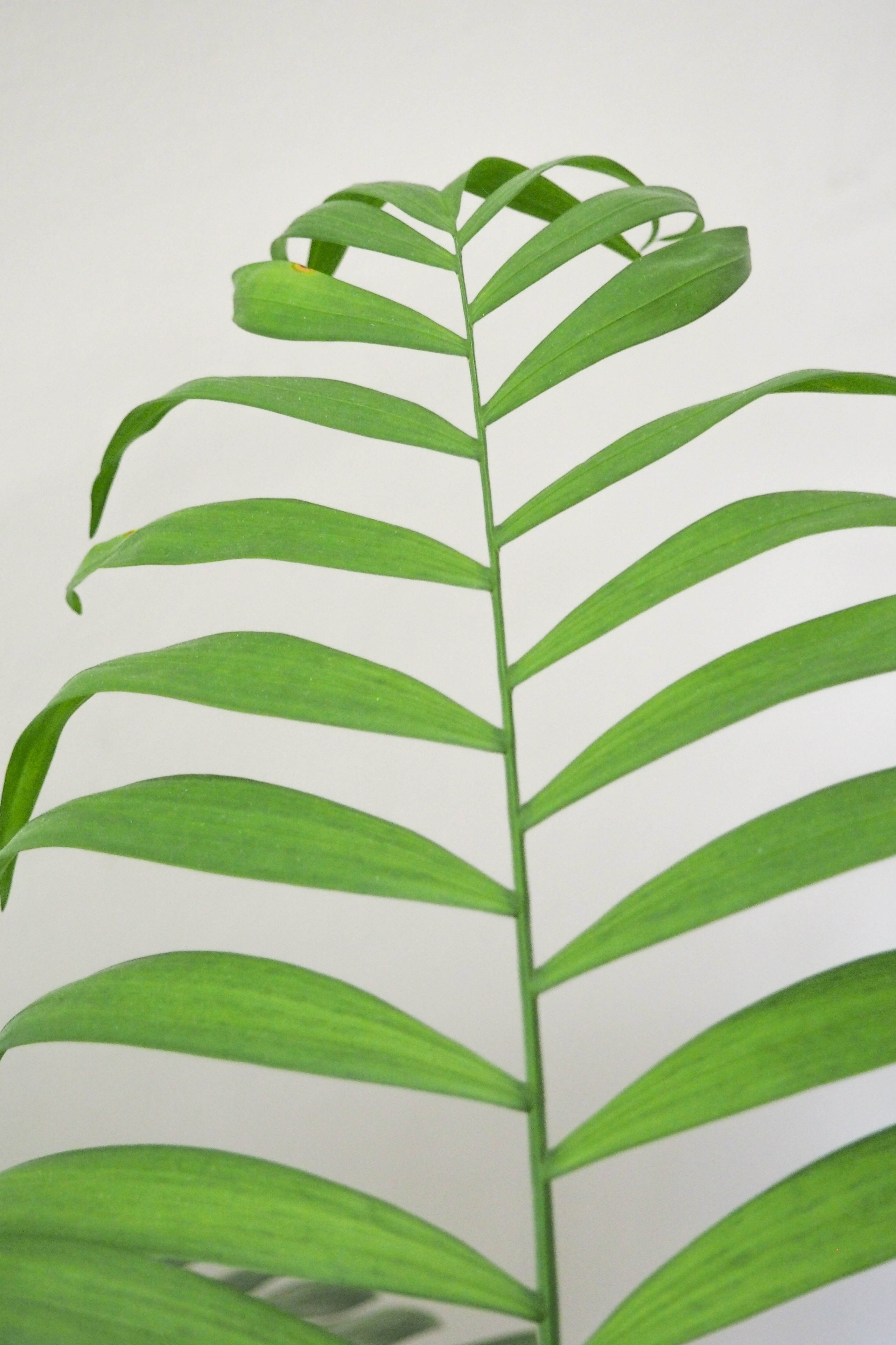 Какой контент нужен медцентру в Санкт-Петербурге