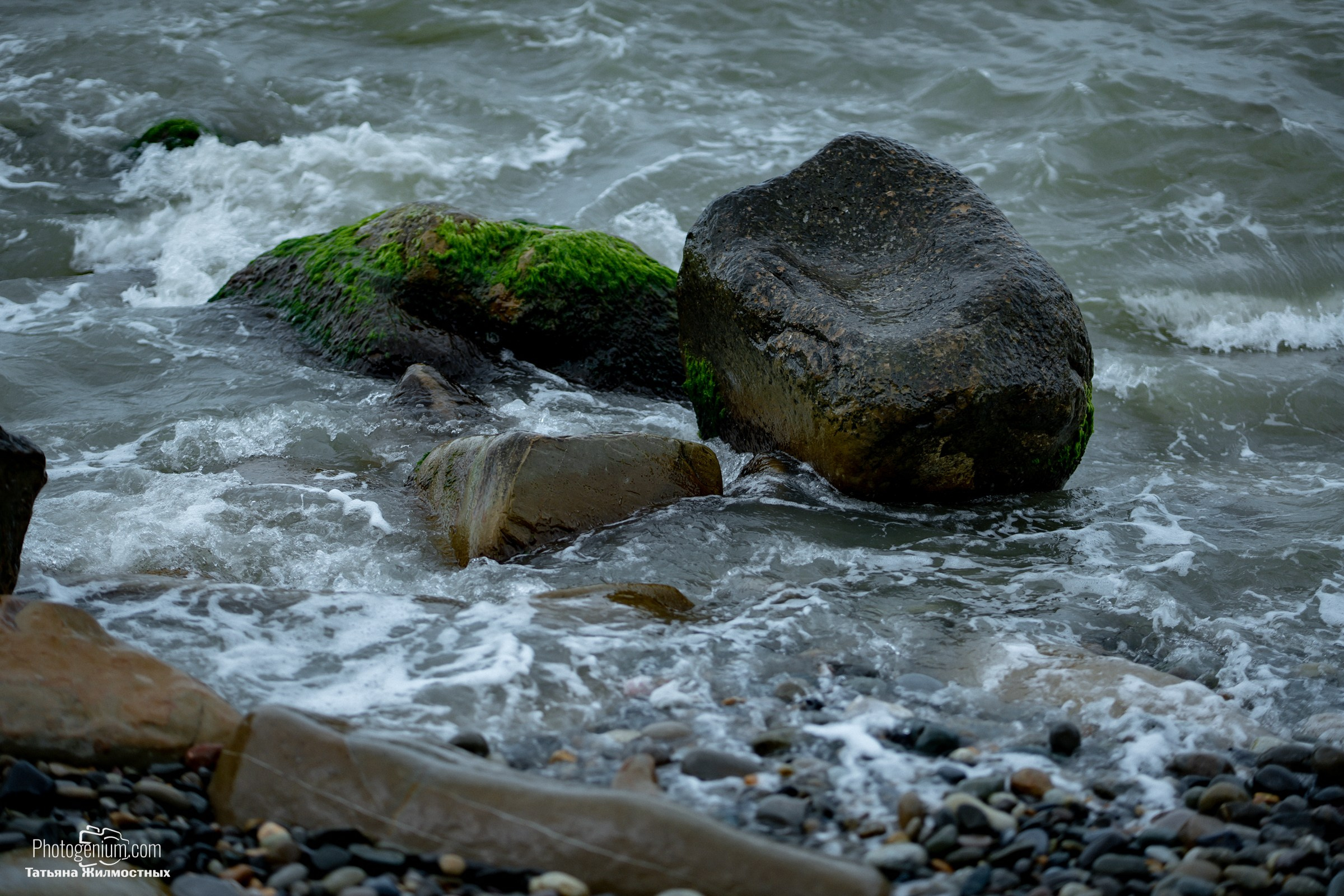 Главная. Фотограф Нижний Новгород Татьяна Кейод