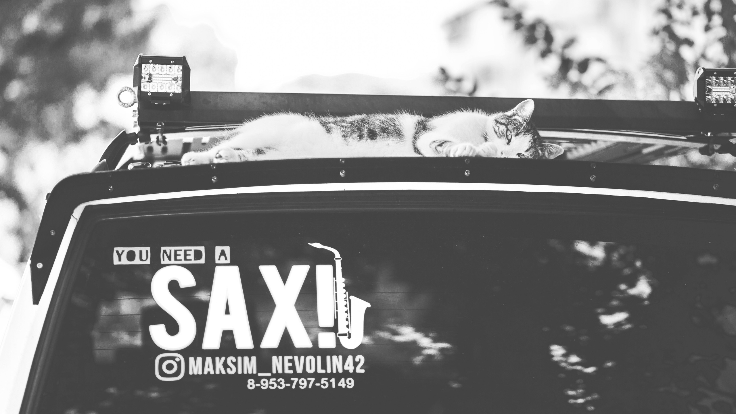 Улицы Люди на улицах Природа Животные — фотограф Оля Волчкова