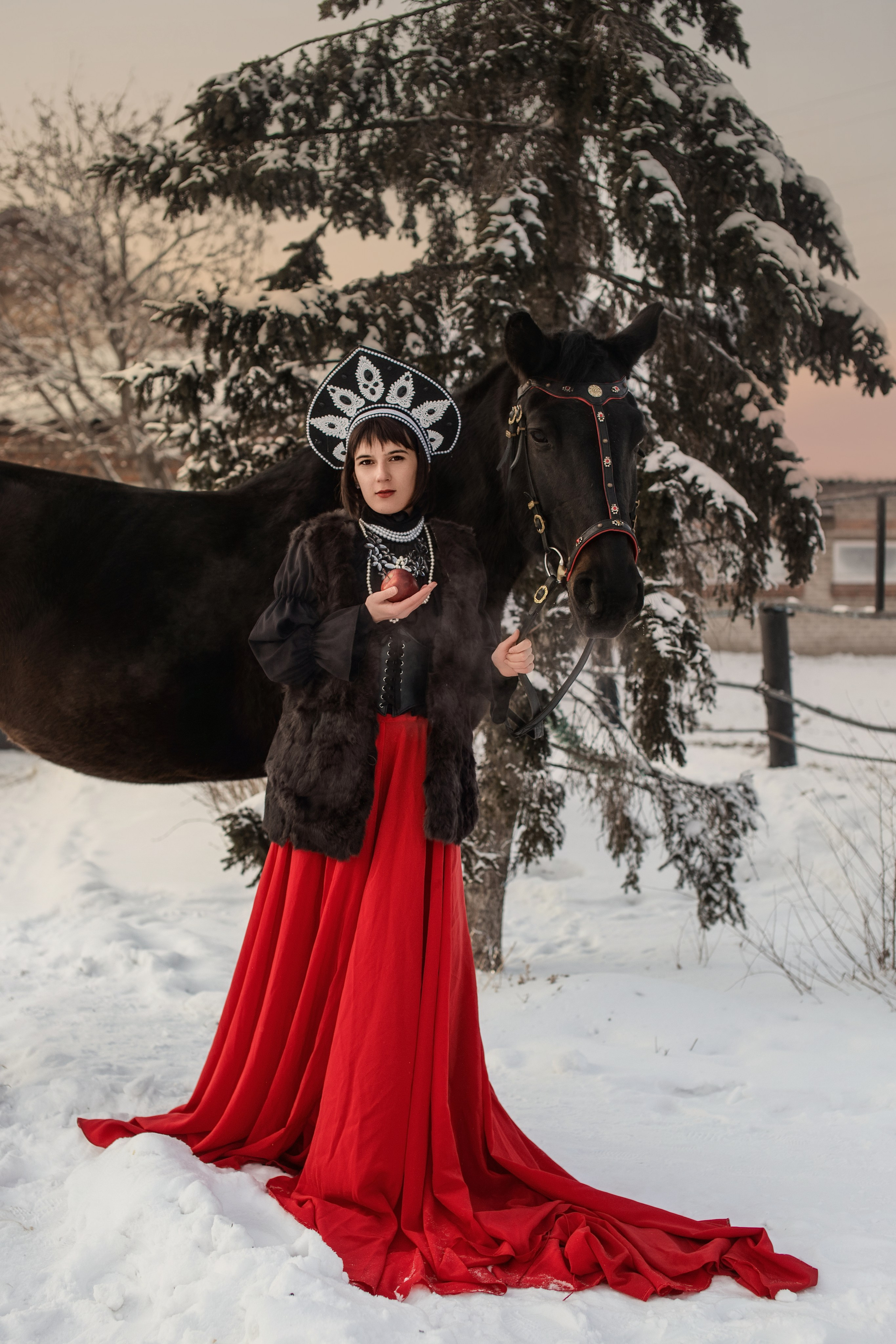 Фото-проект с лошадьми в Белокурихе и Барнауле «Мороз и Солнце». Главная