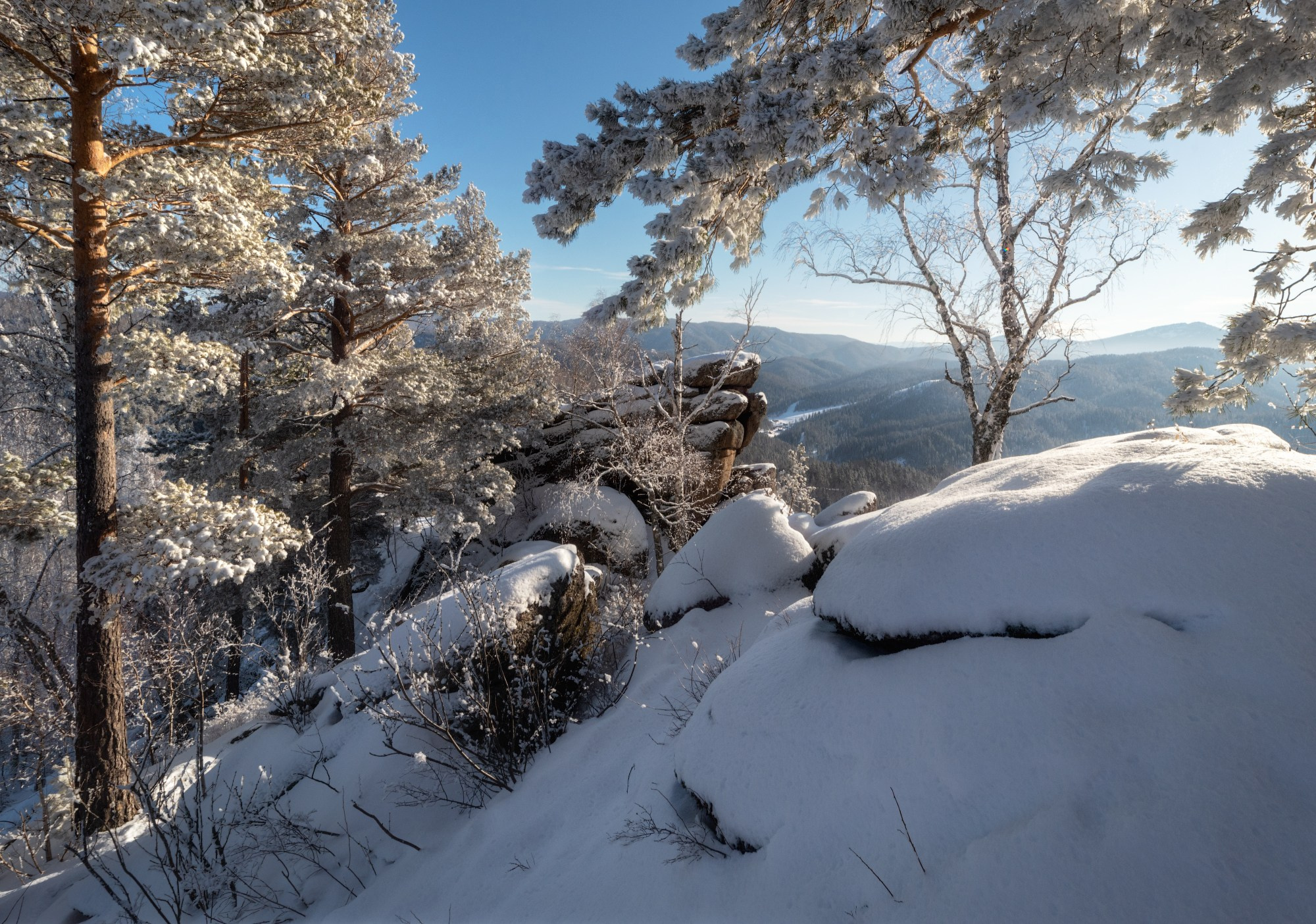 Куржак на Круглой. Из серии "Зимние прогулки по Круглой". Окрестности Белокурихи, январь 2024