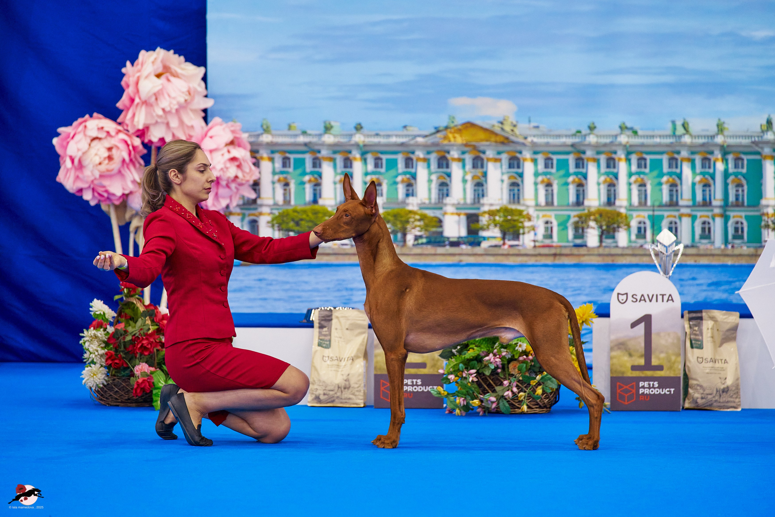 ГРАН ПРИ «ВЕСЕННИЙ ПЕТЕРБУРГ» & «СУПЕР КУБОК «ЭЛИТЫ»-2025»