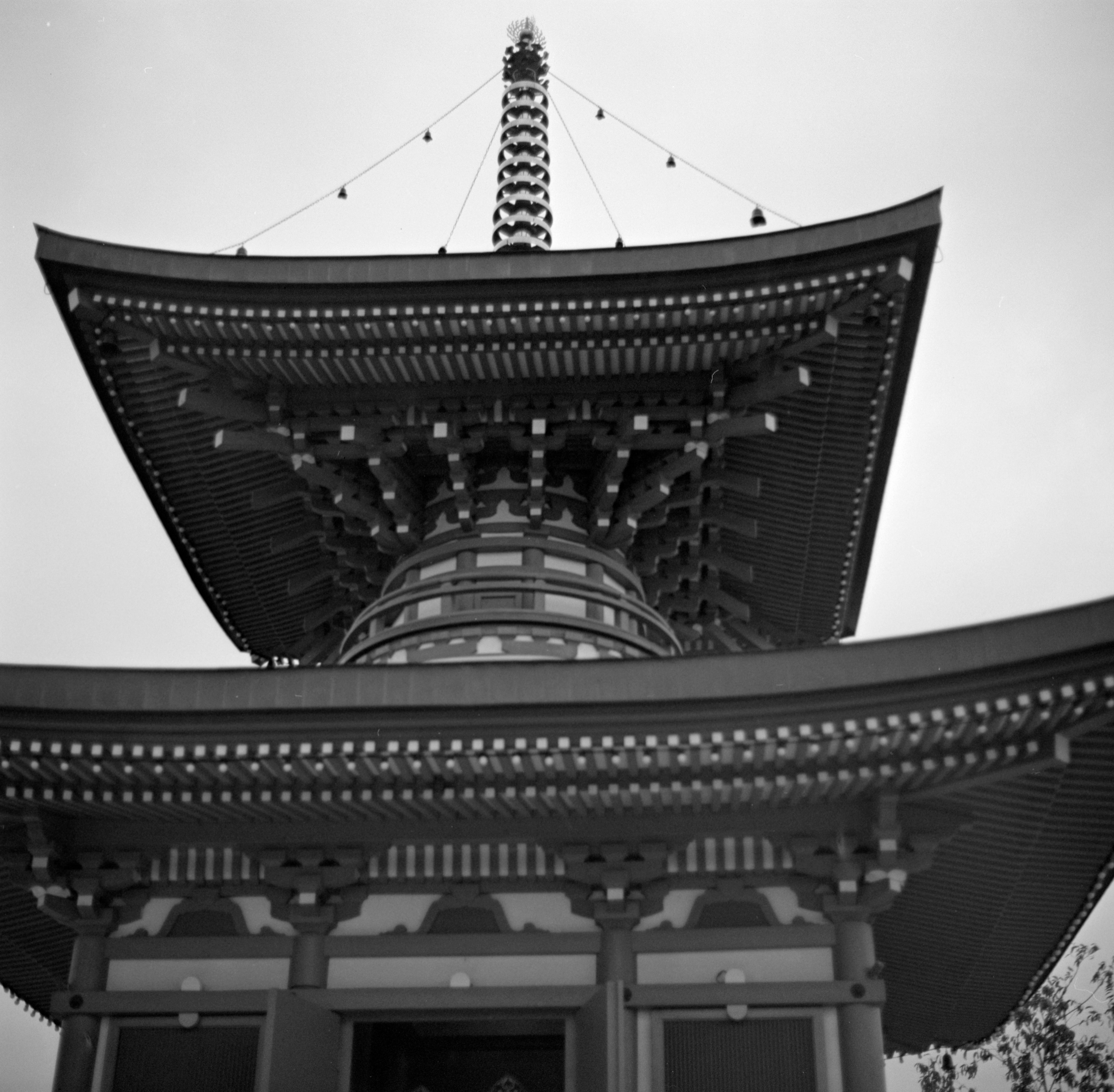 Альбом «Киссатен» г. Краснодар. Проект «Проявленные в кофе»