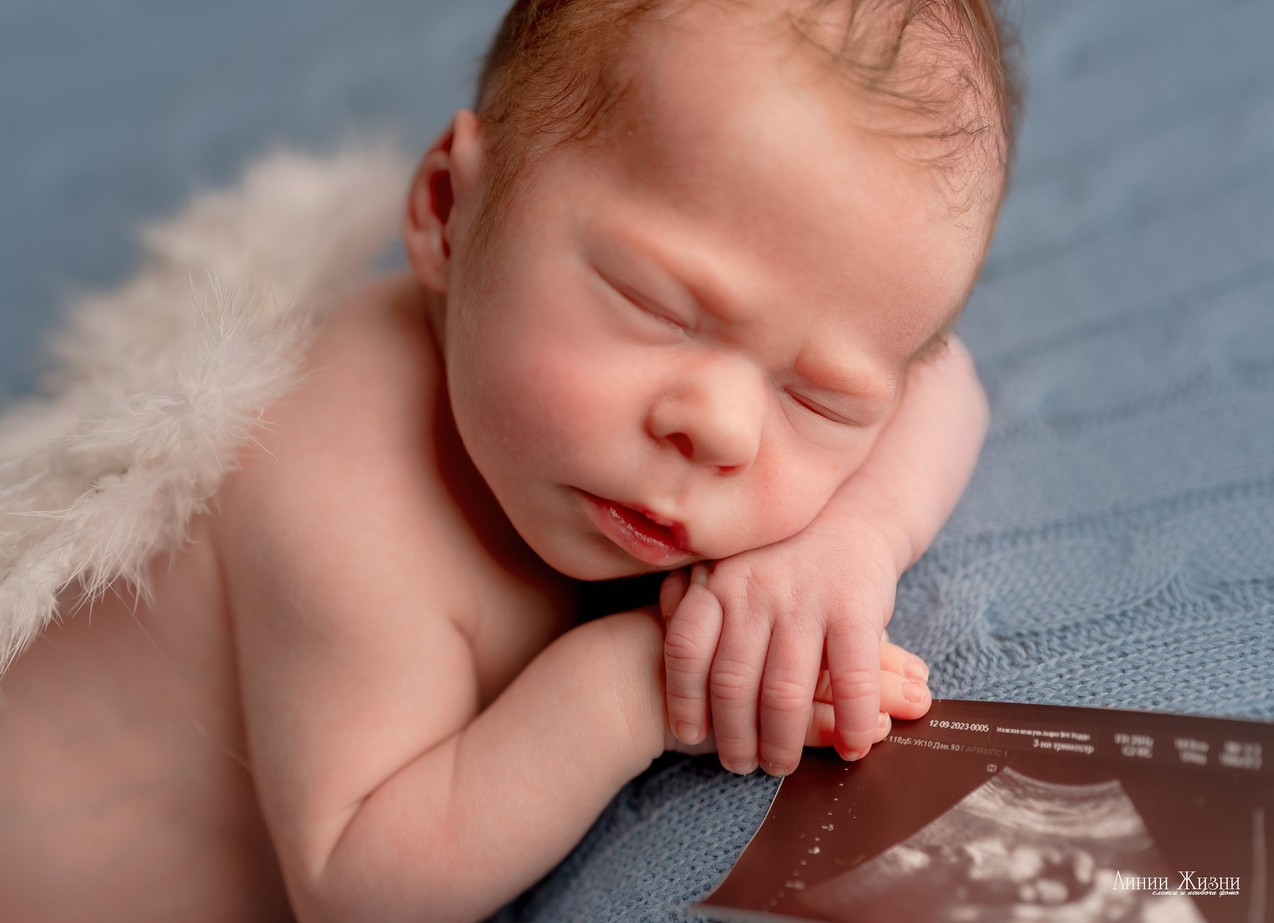 Гордей 21 день. Фотограф новорожденных в Нижнем Новгороде Сергеева Оксана