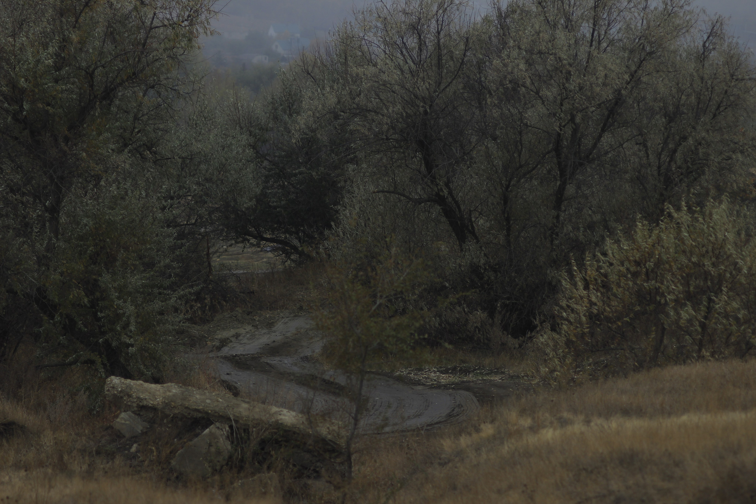 Разбойщина, Саратов, студенческая архитектурная мастерская Евгения Спирина и САСК. Фотокрыжовник. Снимаем, дружим, путешествуем