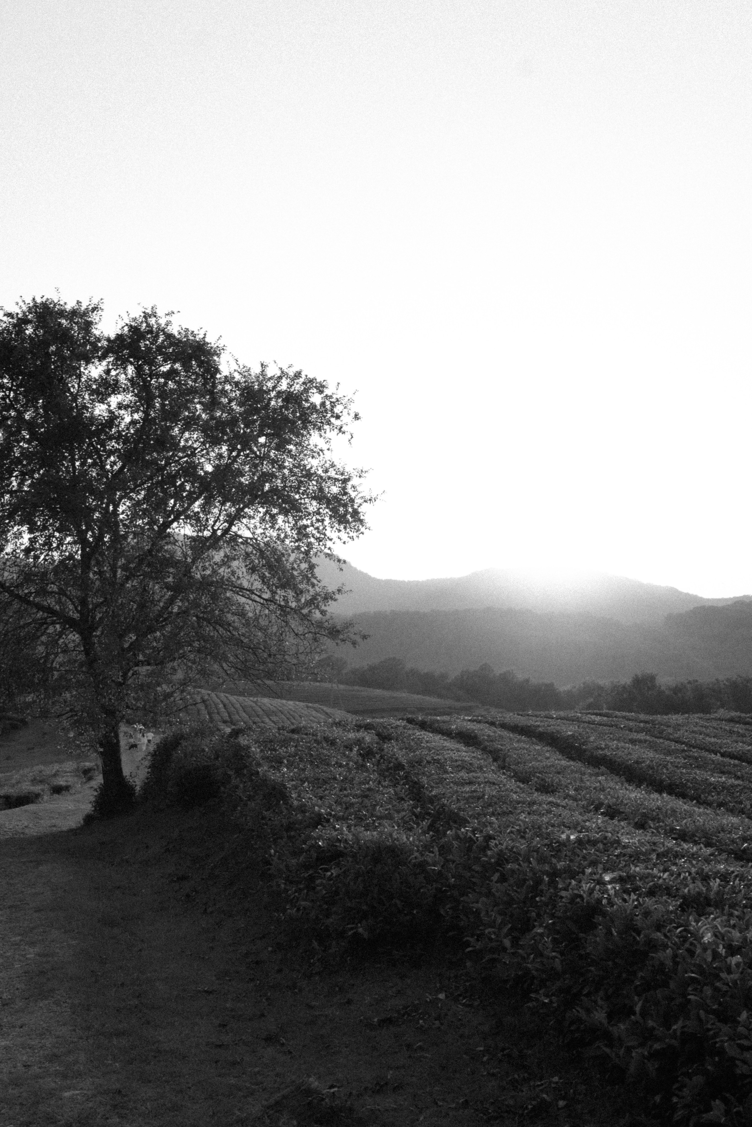 Фото в горах. Свадебный фотограф Сочи Елена Казакова