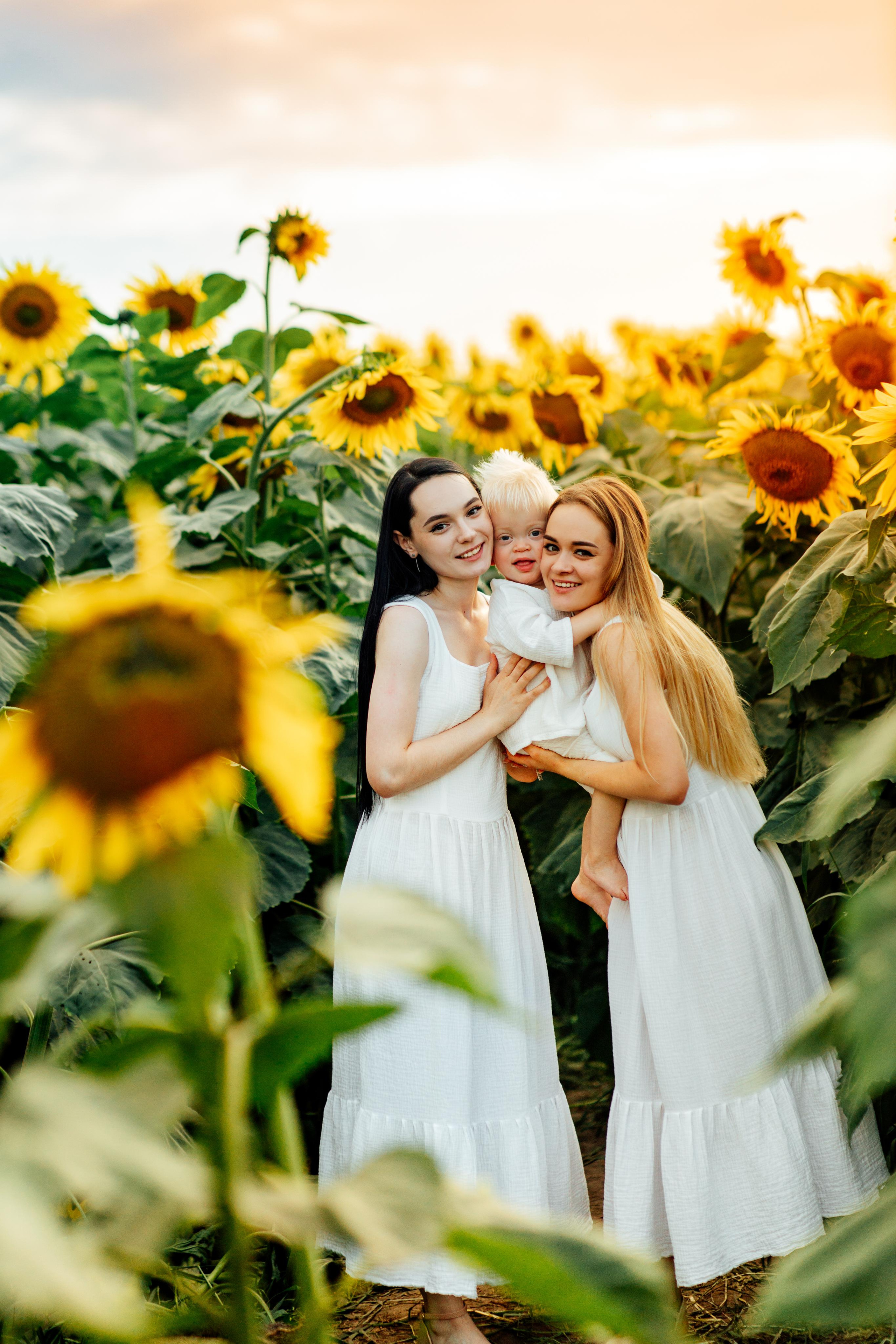 Подсолнухи, семейная, август 22