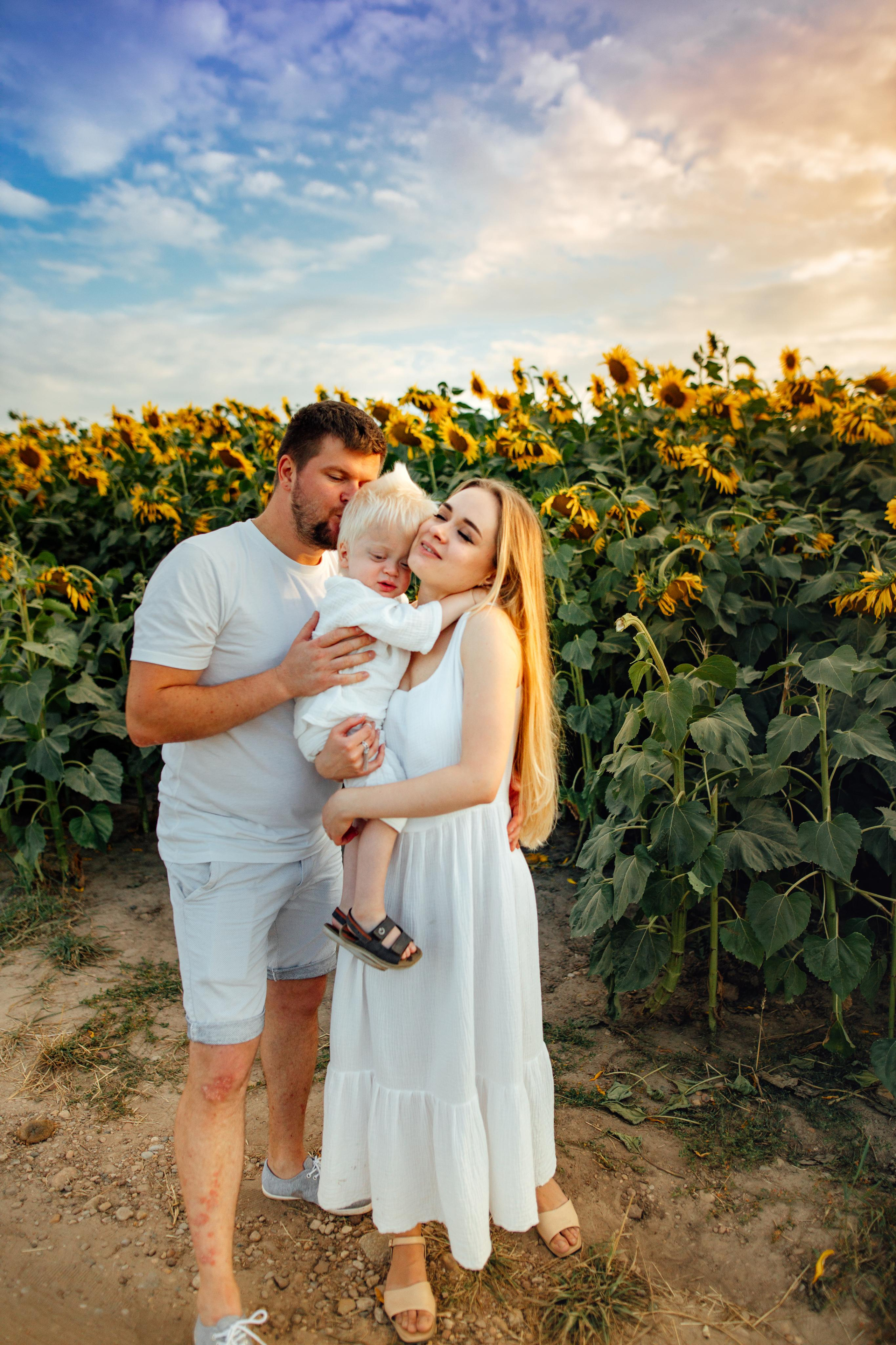 Подсолнухи, семейная, август 22