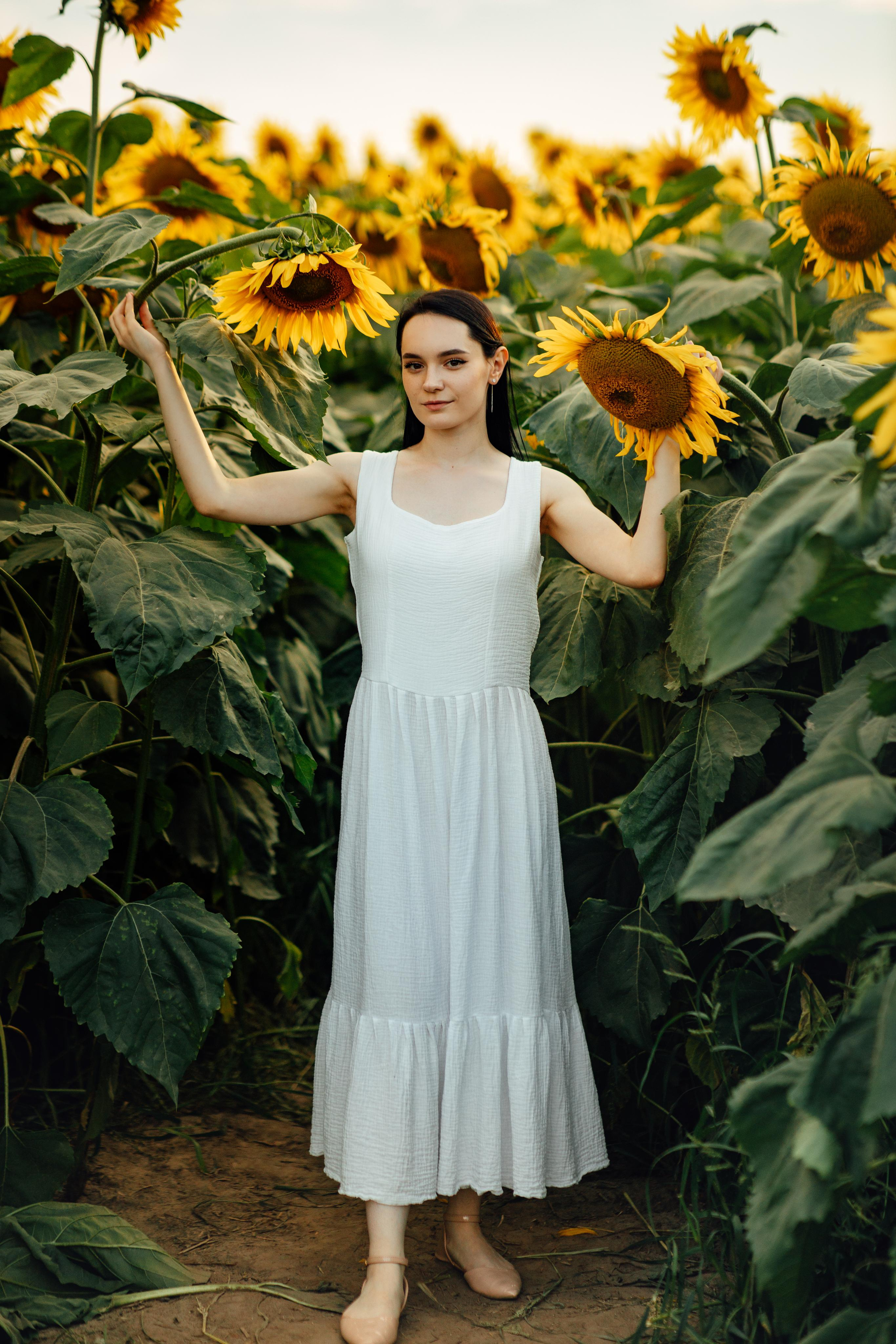 Подсолнухи, семейная, август 22