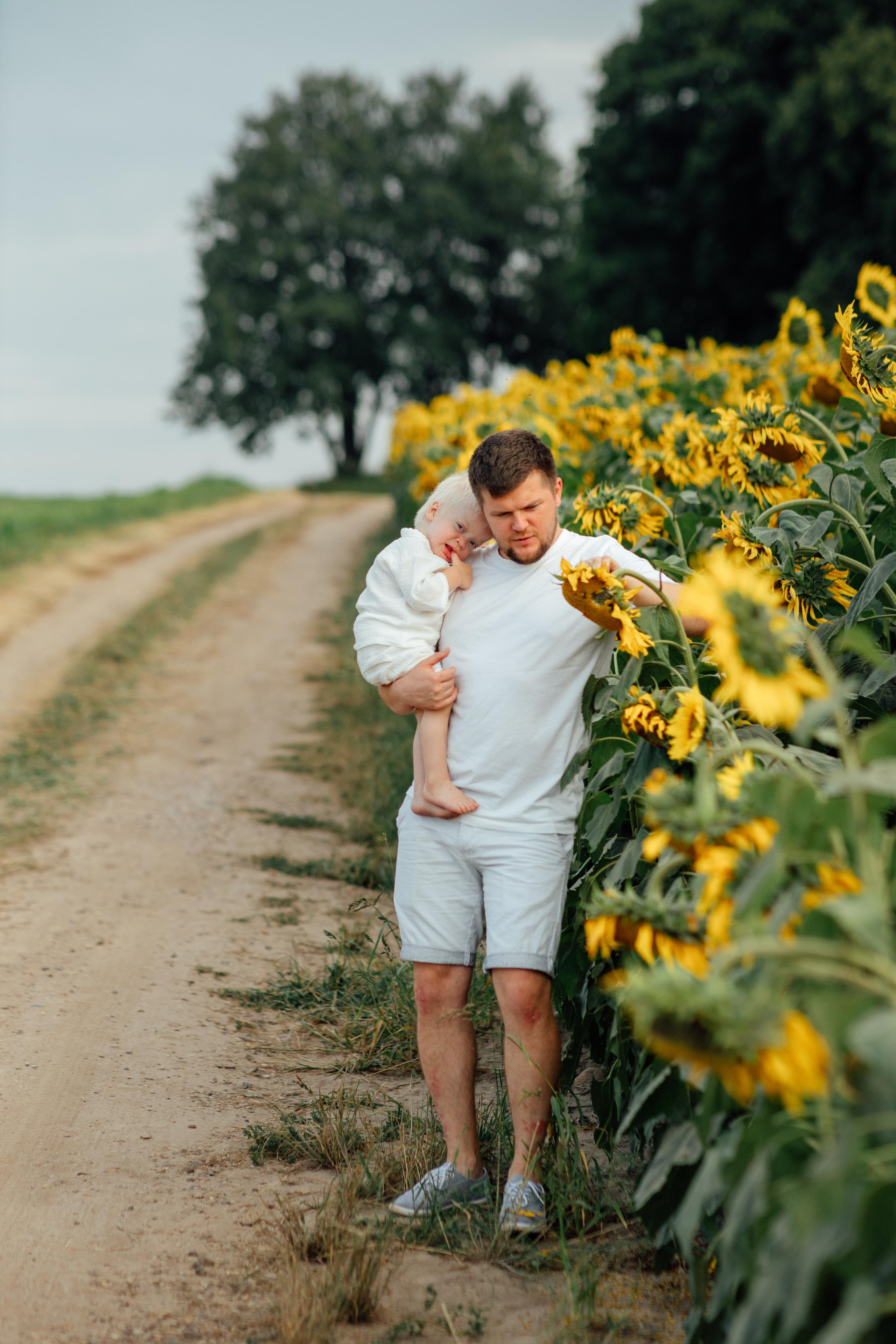 Подсолнухи, семейная, август 22