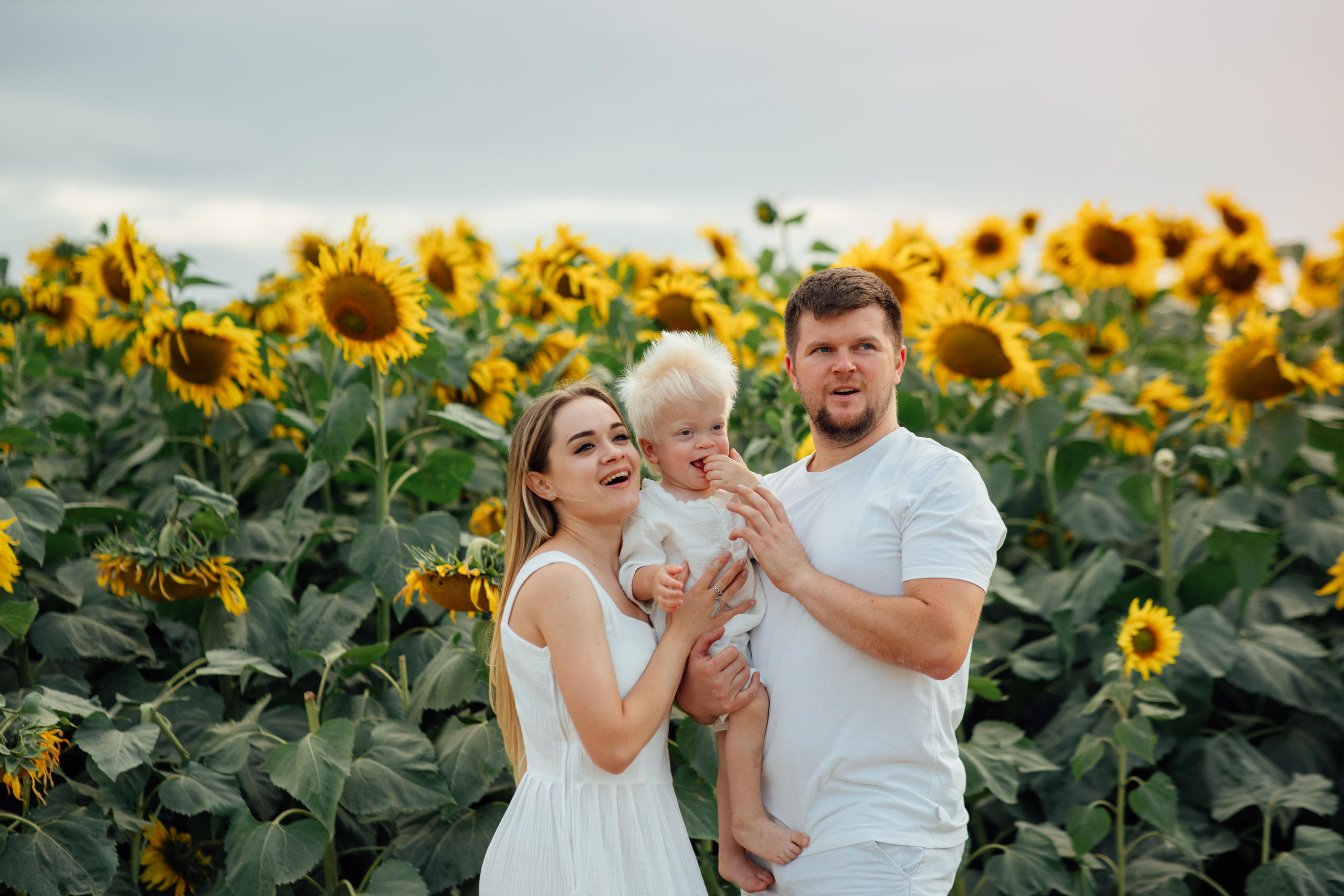 Подсолнухи, семейная, август 22