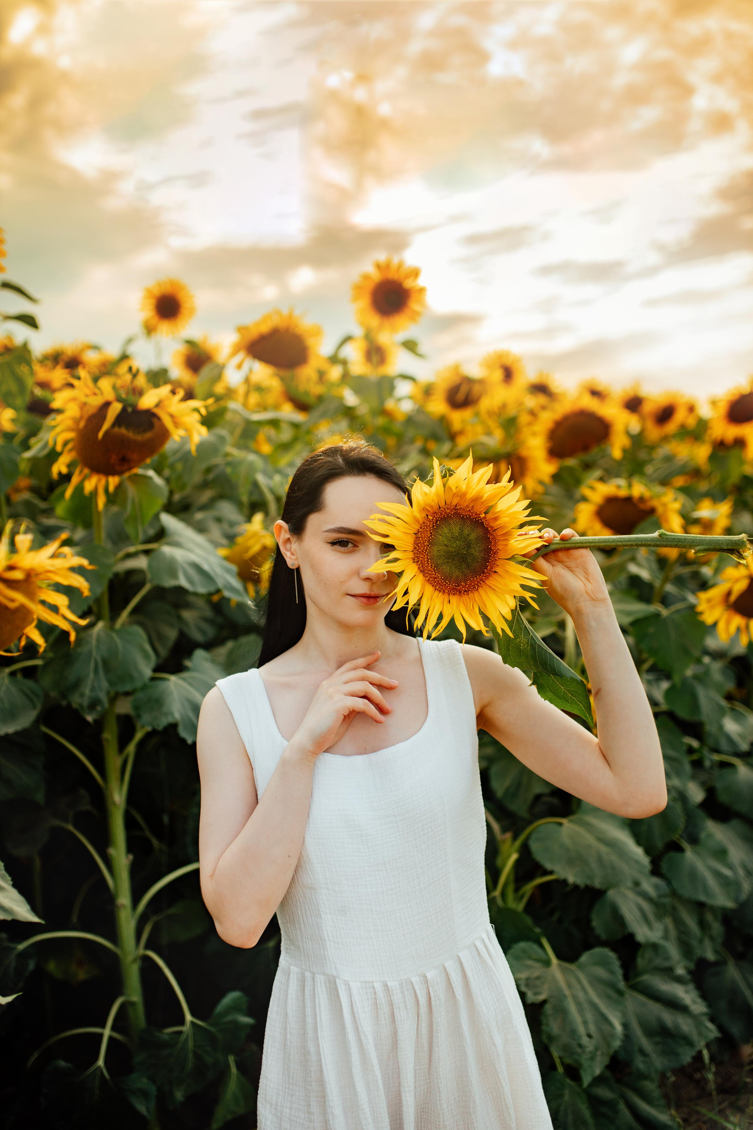 Подсолнухи, семейная, август 22