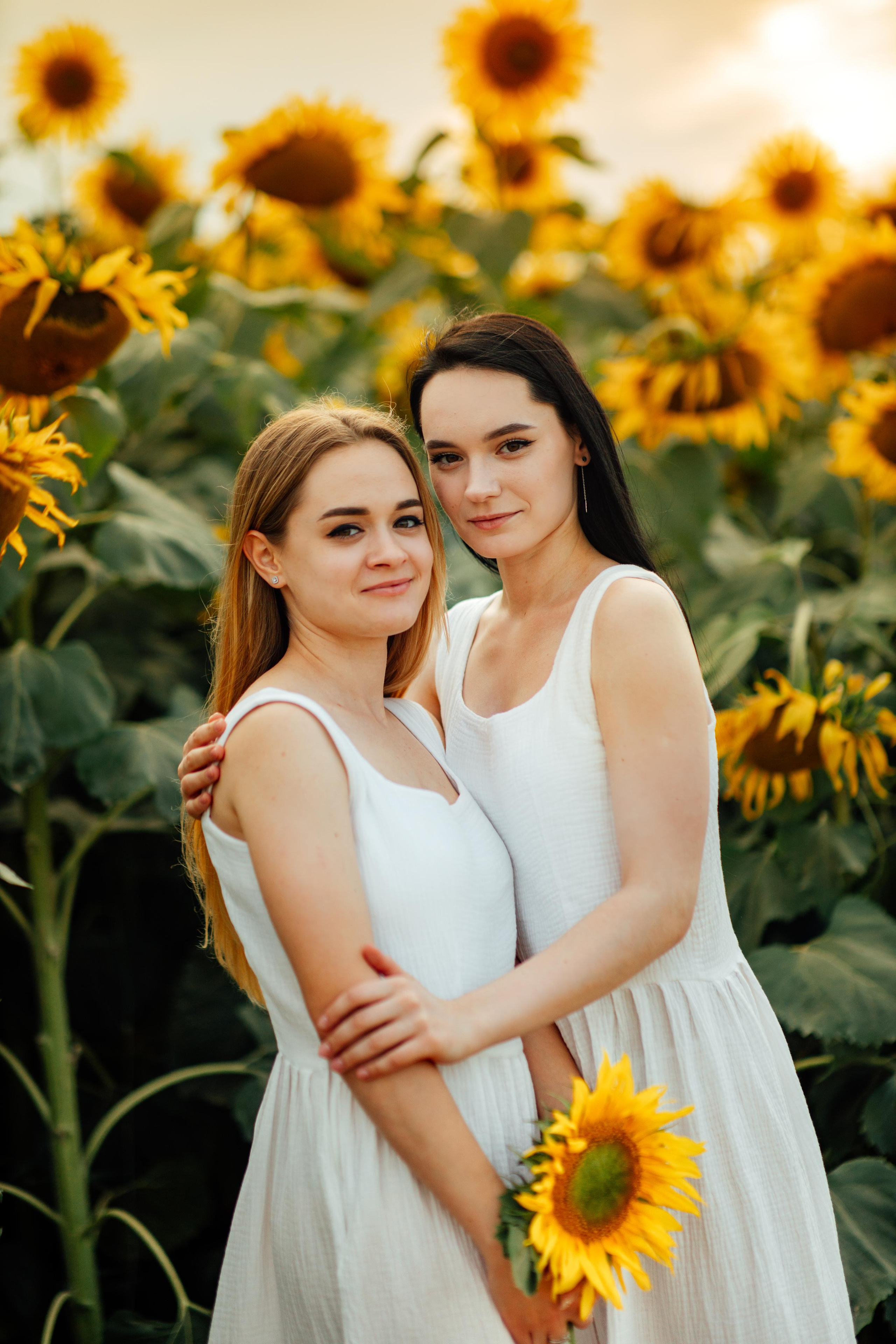 Подсолнухи, семейная, август 22