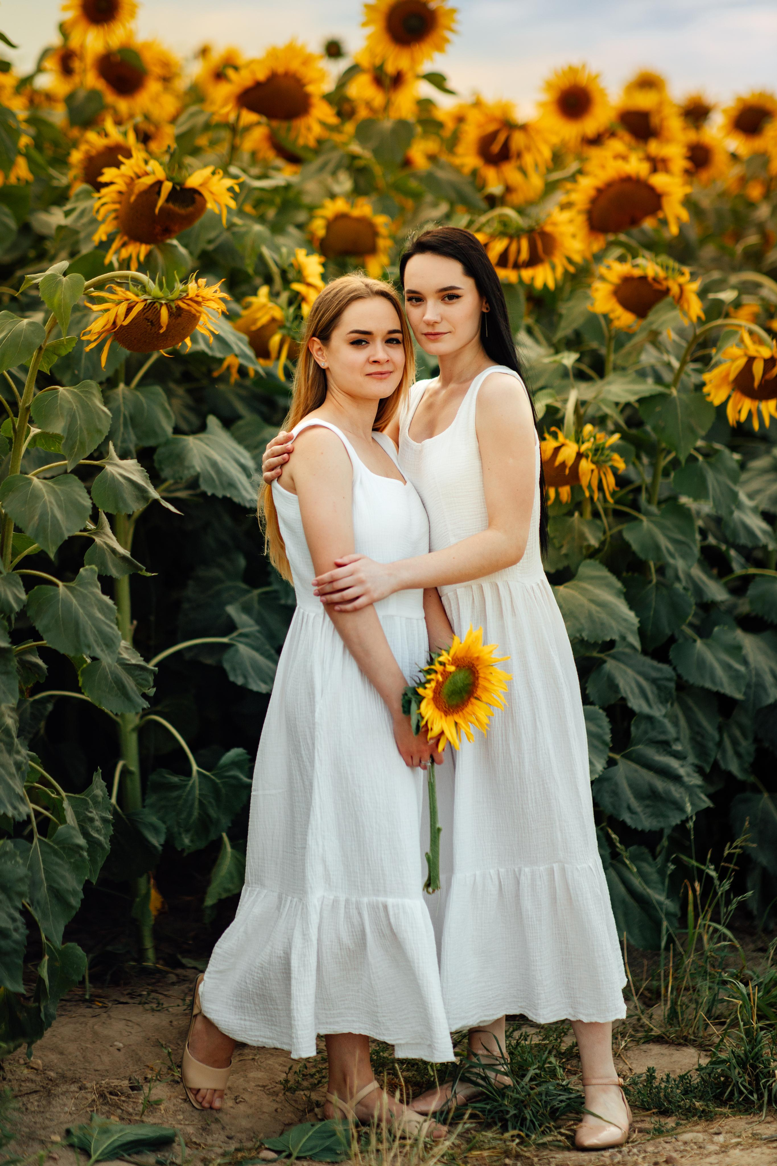 Подсолнухи, семейная, август 22