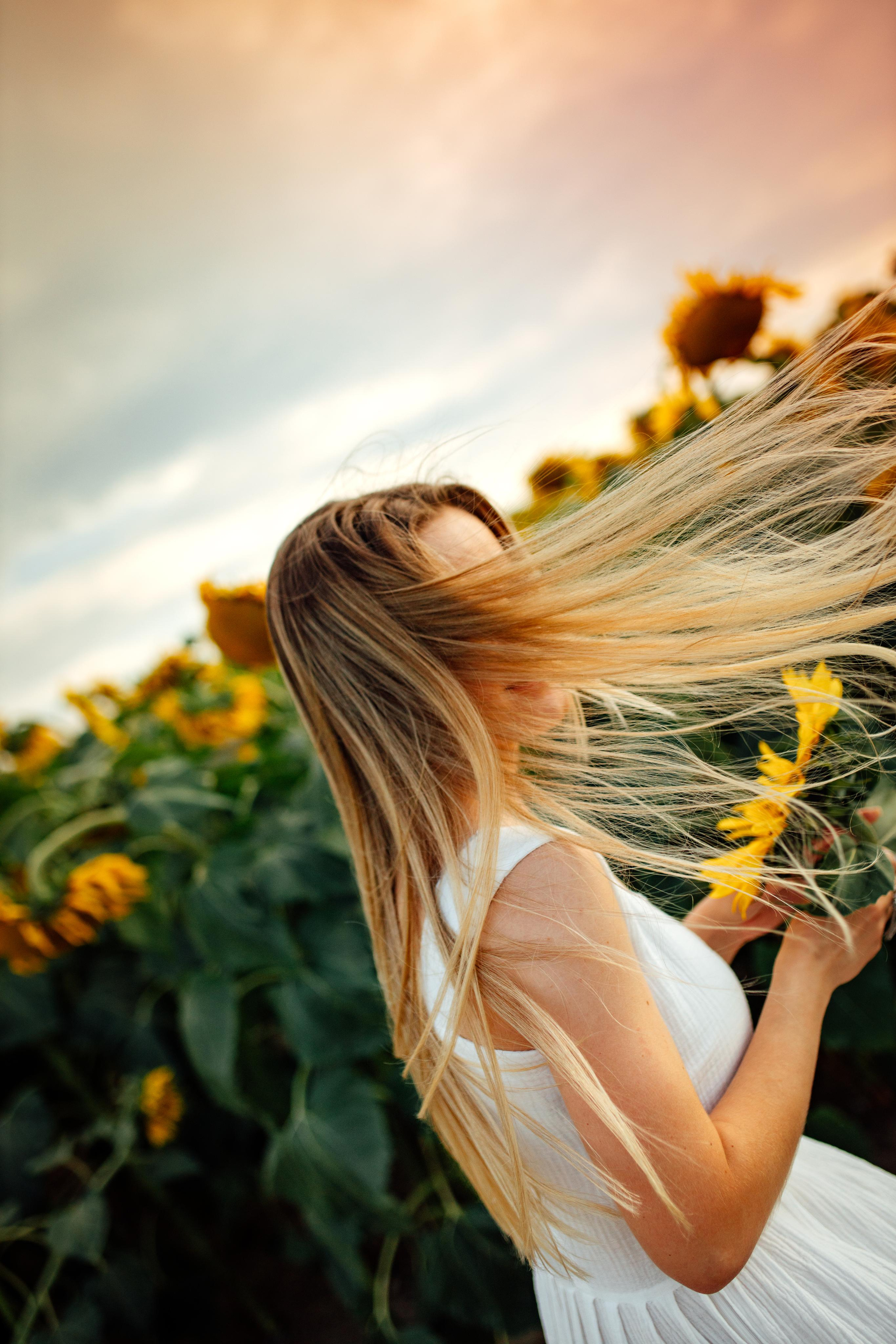 Подсолнухи, семейная, август 22