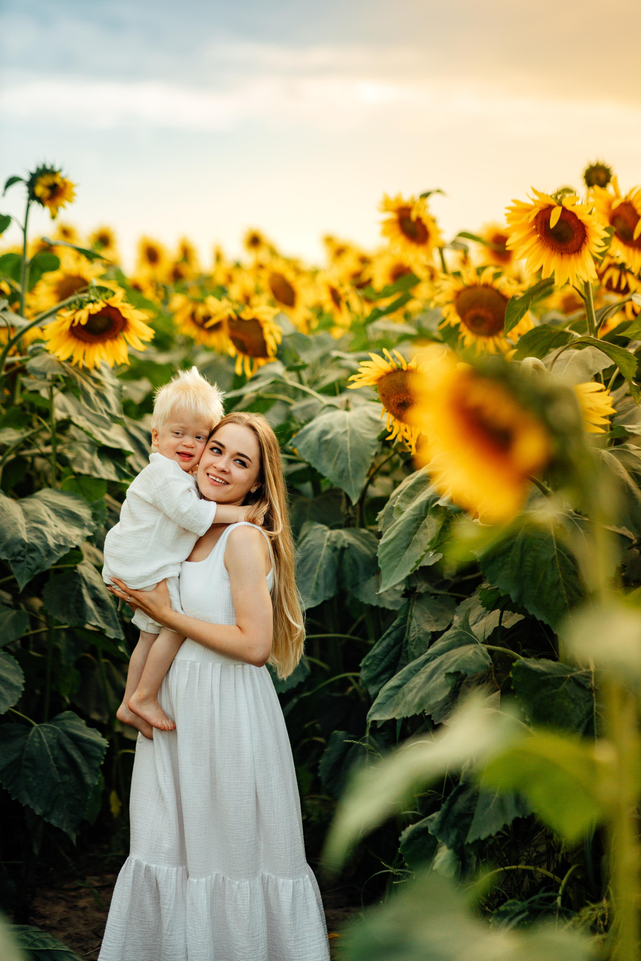 Подсолнухи, семейная, август 22