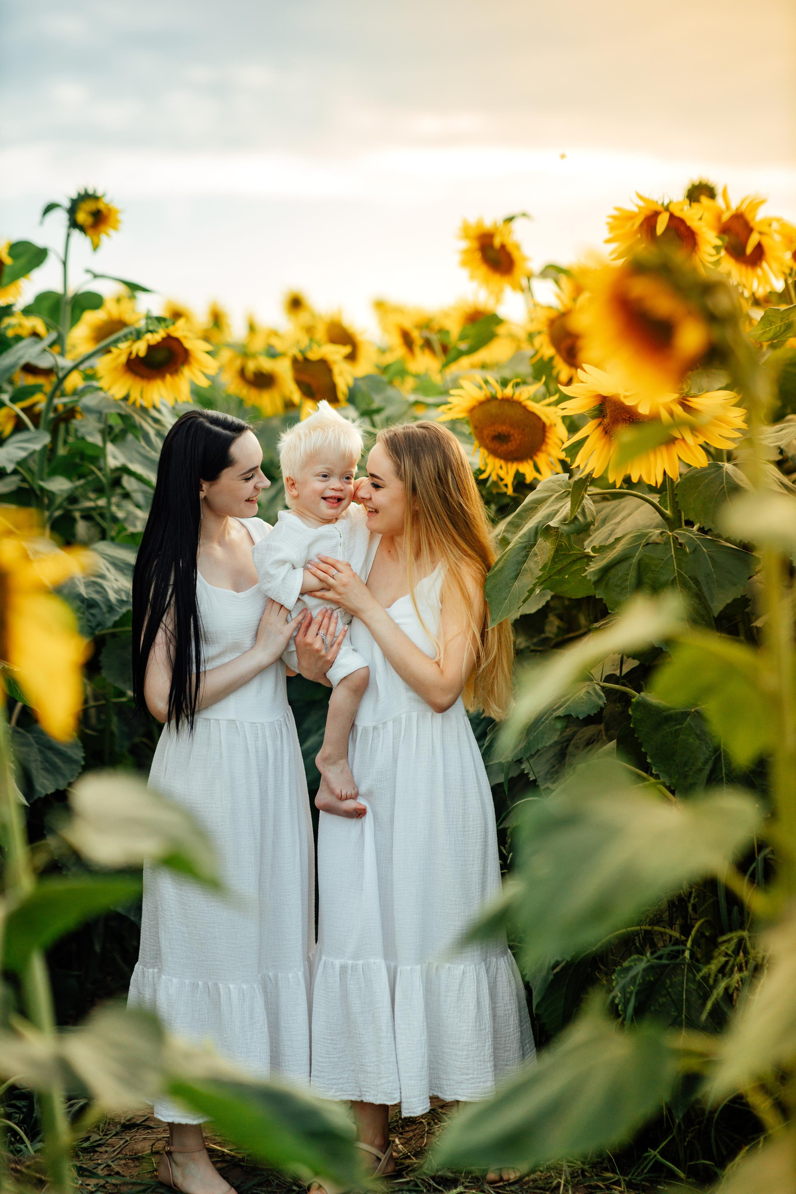 Подсолнухи, семейная, август 22