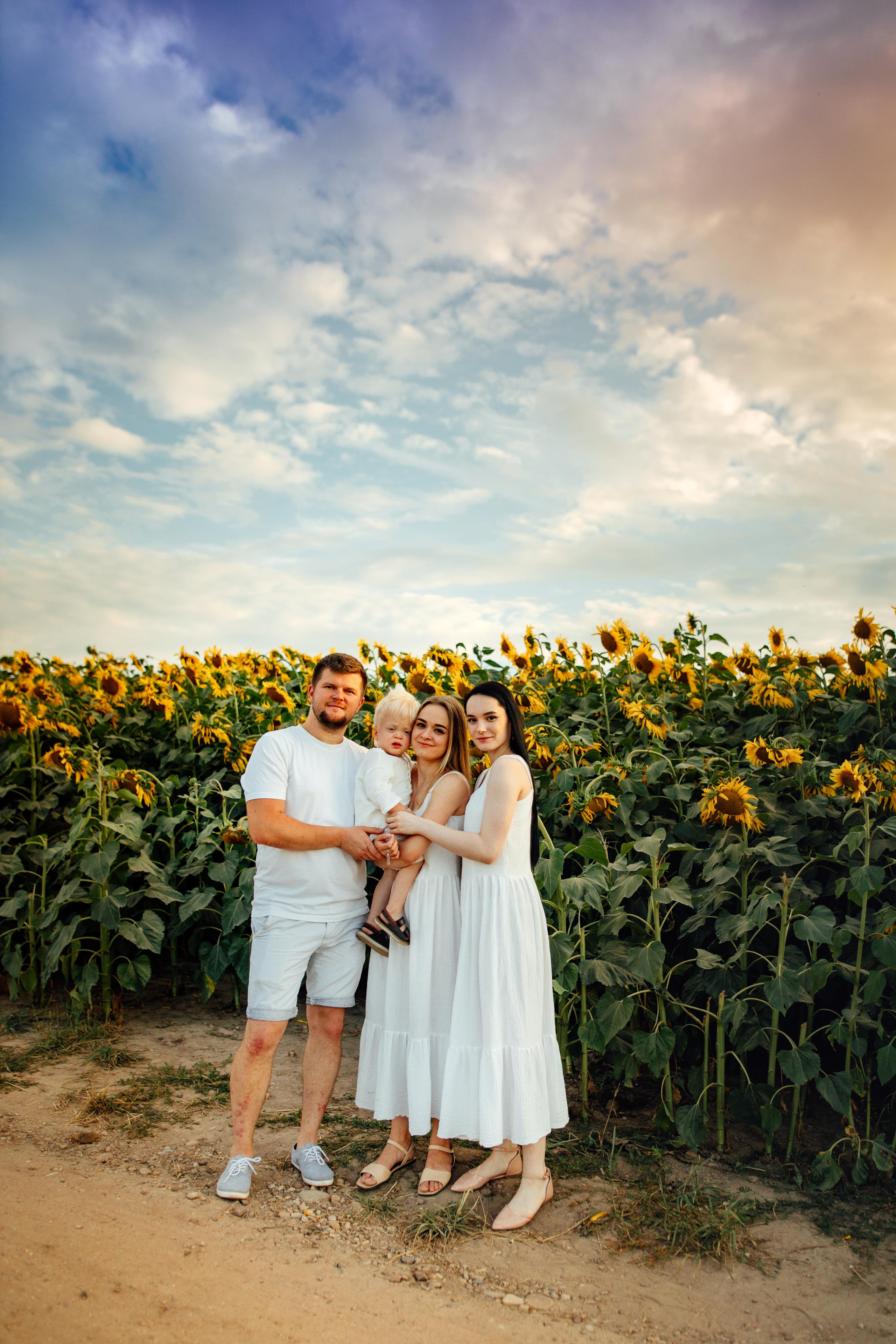 Подсолнухи, семейная, август 22