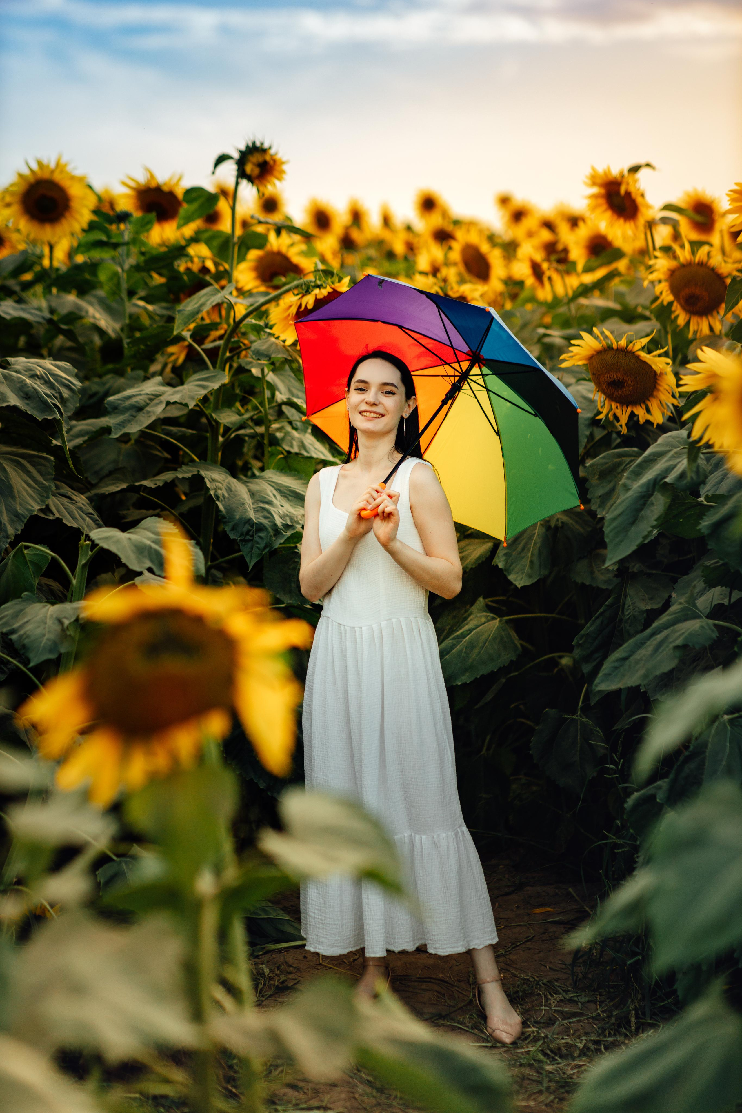 Подсолнухи, семейная, август 22