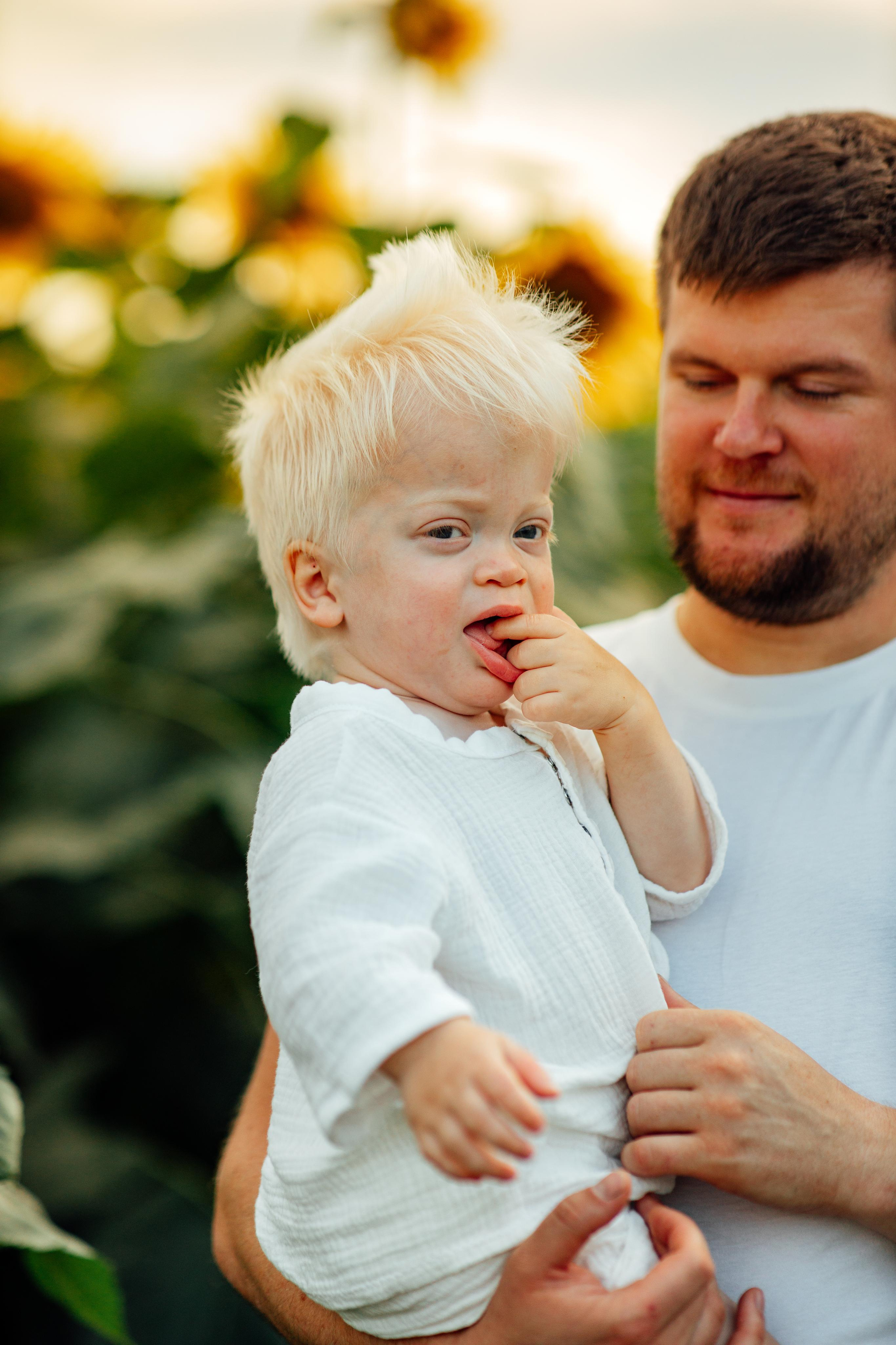 Подсолнухи, семейная, август 22