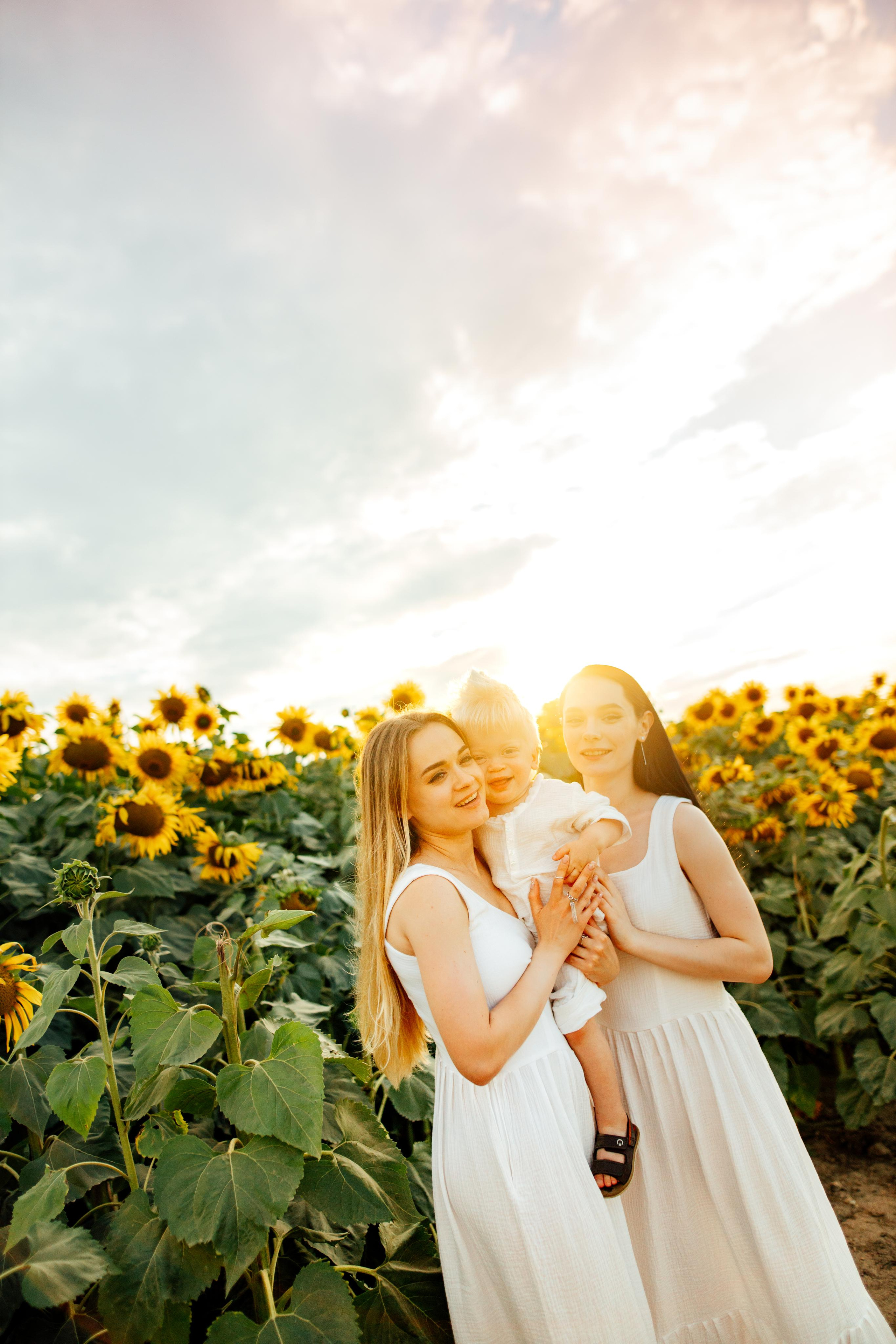 Подсолнухи, семейная, август 22