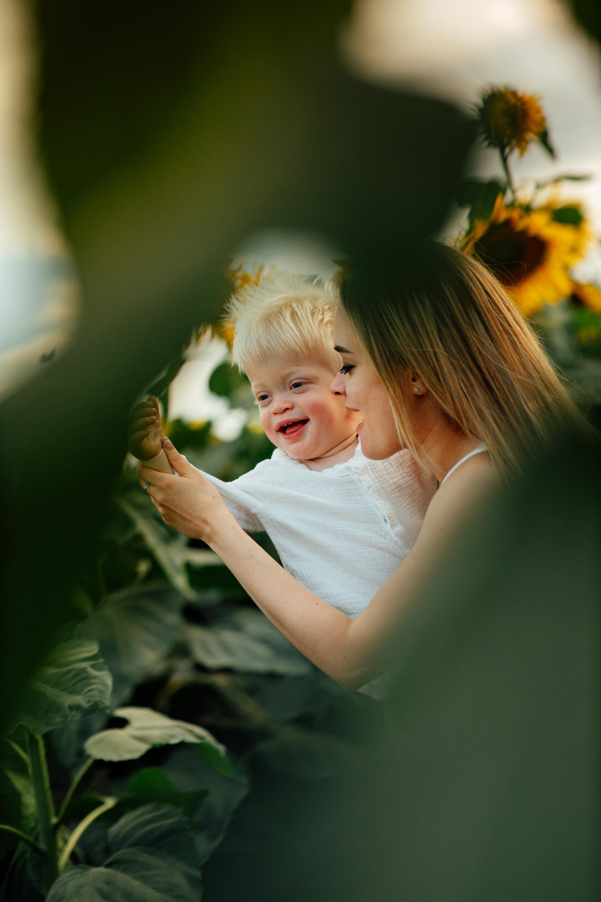 Подсолнухи, семейная, август 22