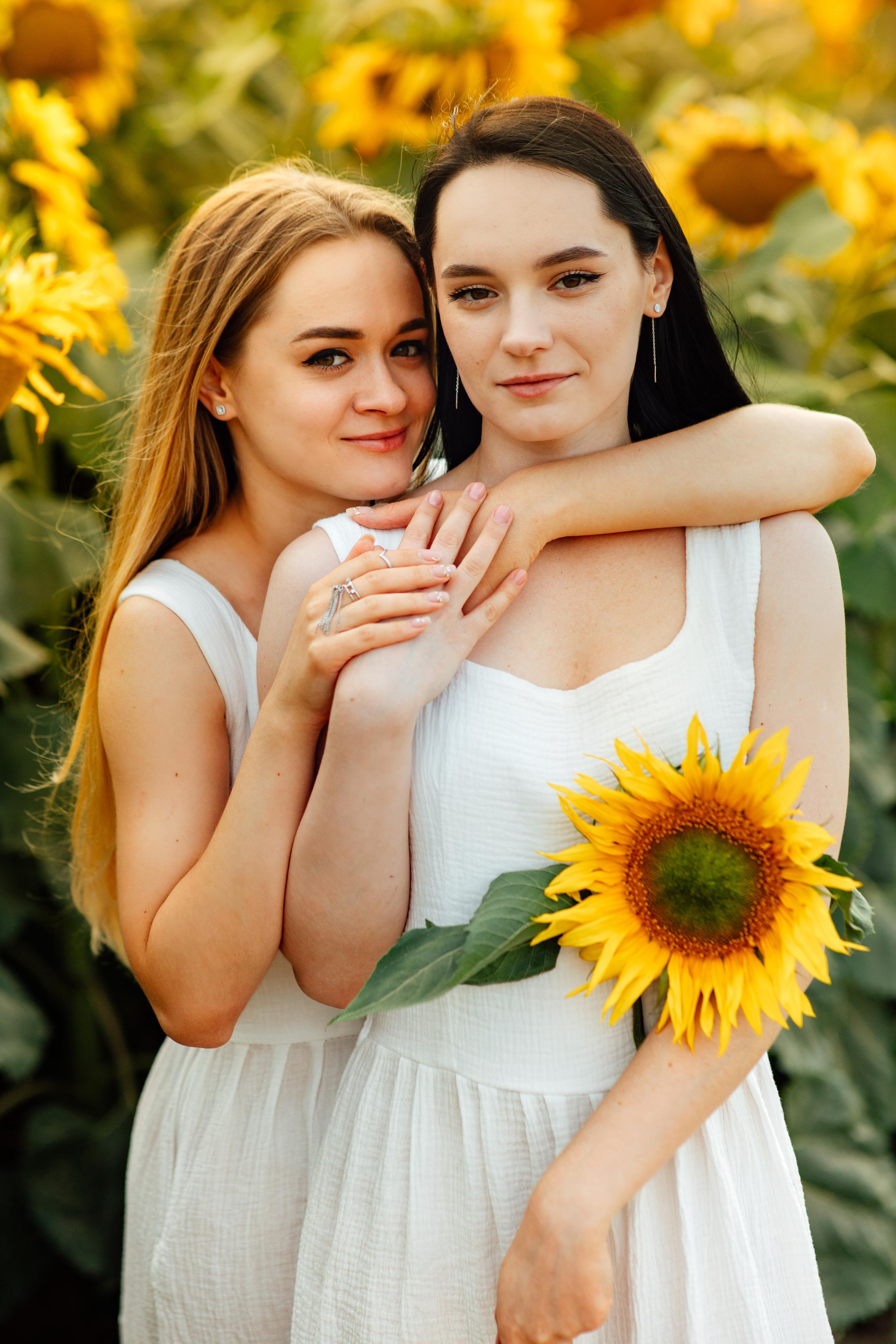 Подсолнухи, семейная, август 22