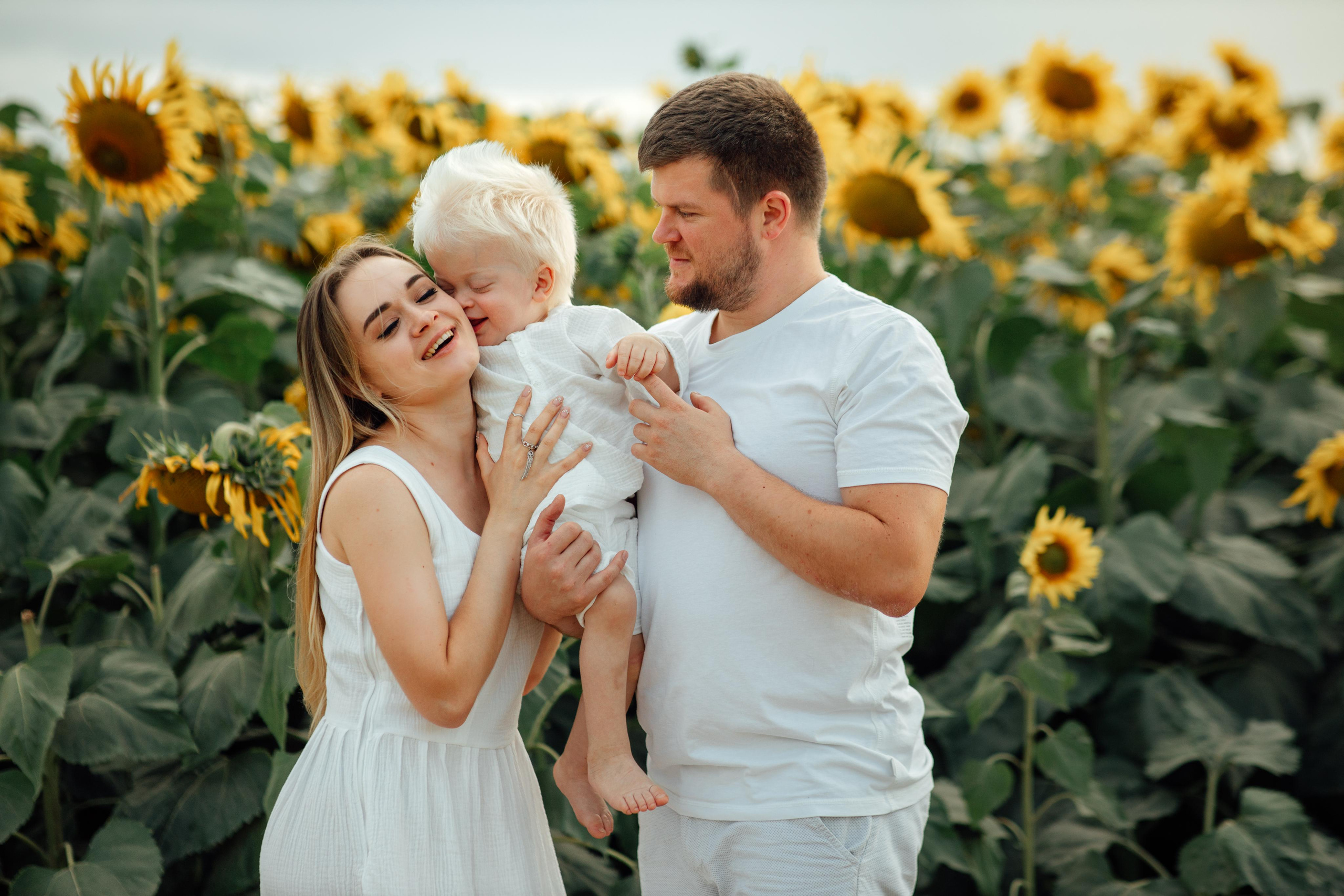 Подсолнухи, семейная, август 22