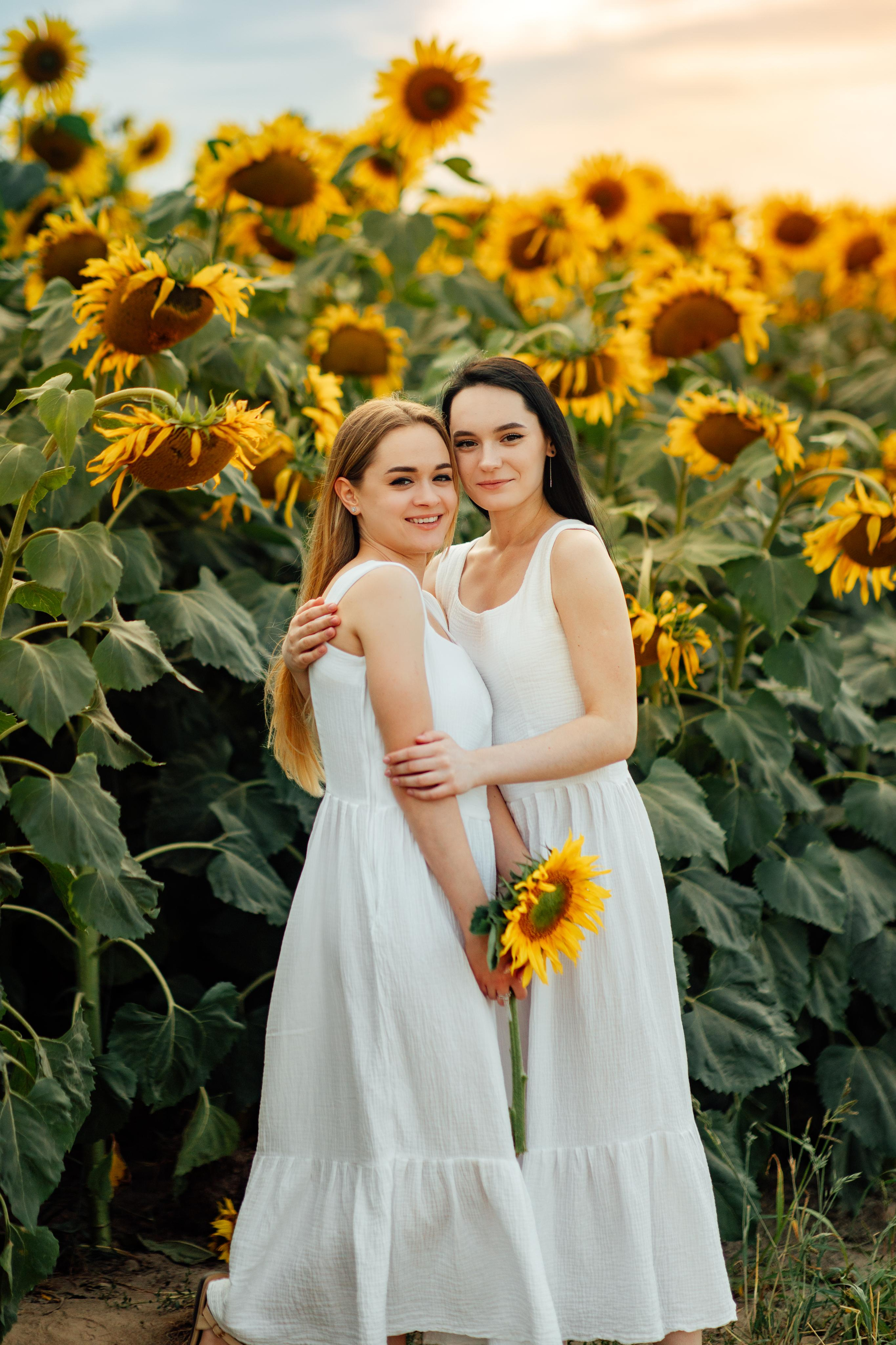 Подсолнухи, семейная, август 22