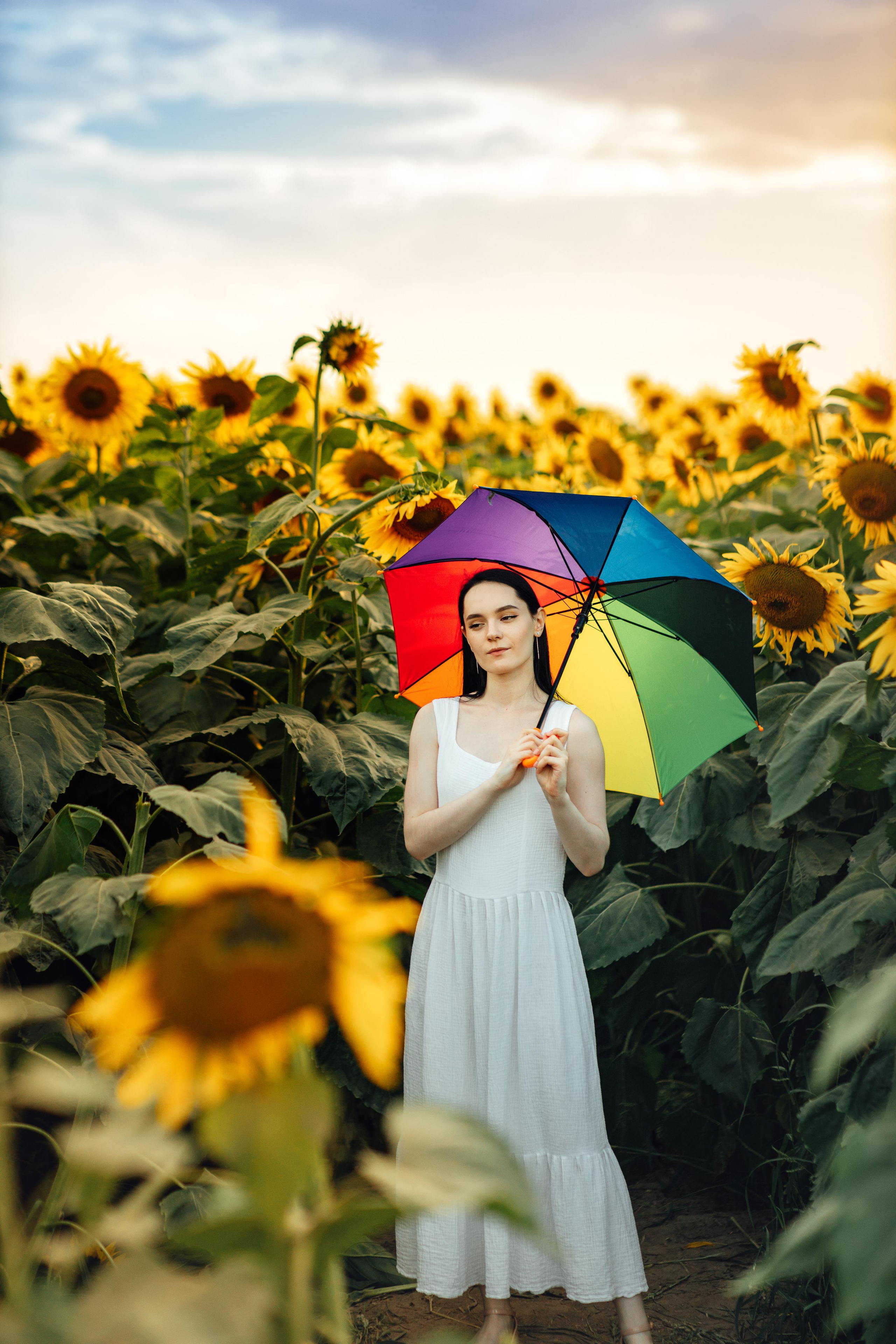 Подсолнухи, семейная, август 22