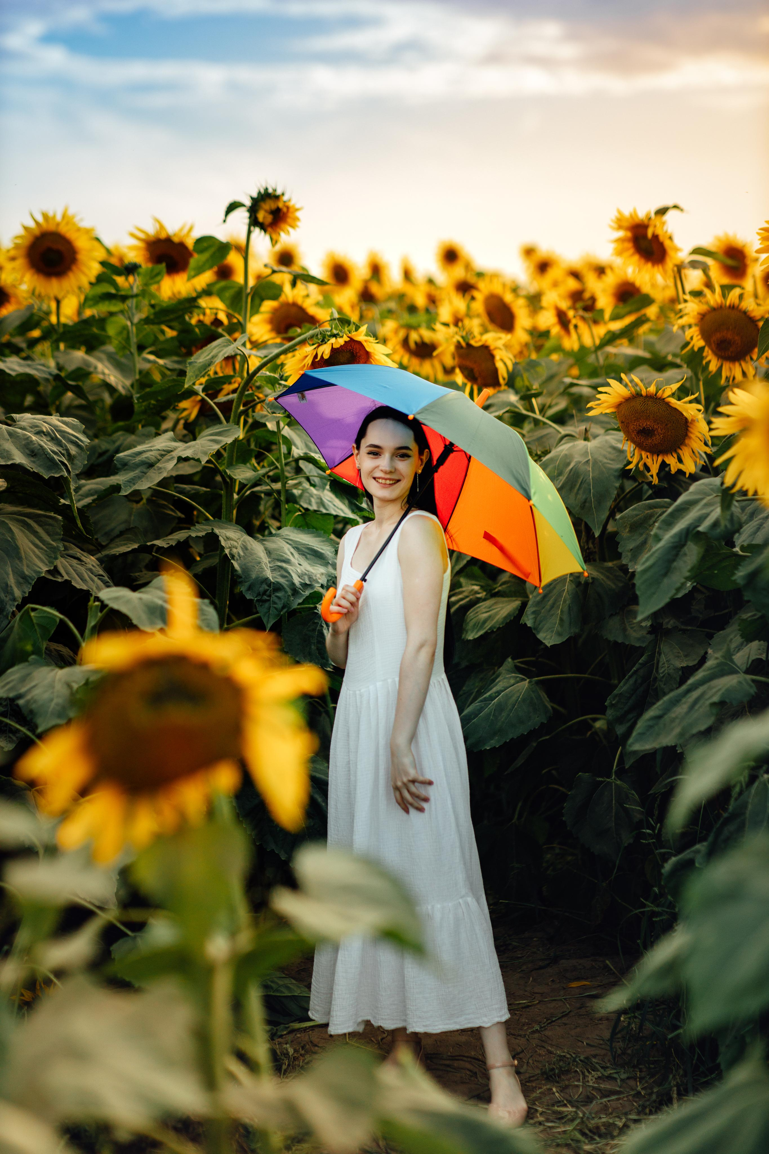 Подсолнухи, семейная, август 22