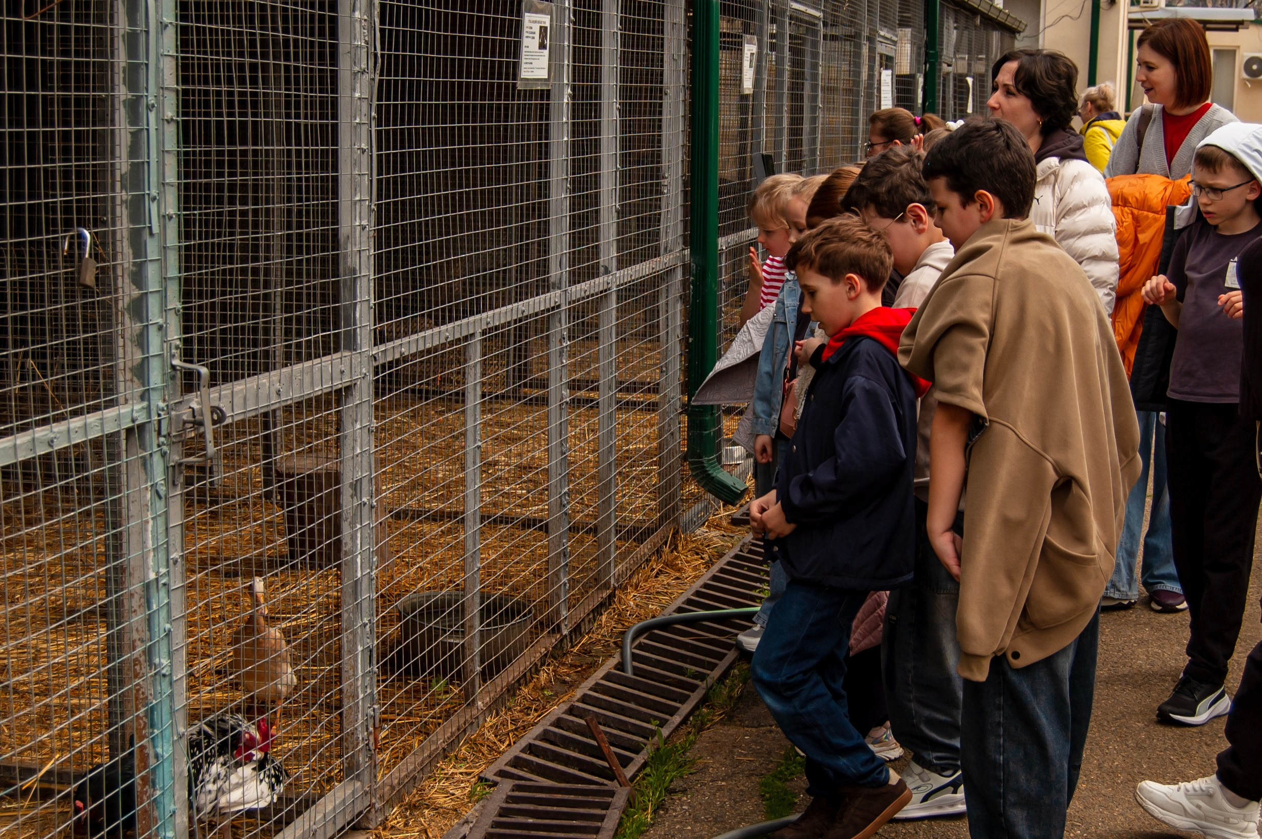 Репортажная съёмка экскурсии учеников СОШ № 11 2 «В» класса в Краснодаре. Портретный фотограф в Краснодаре Слава Никитин