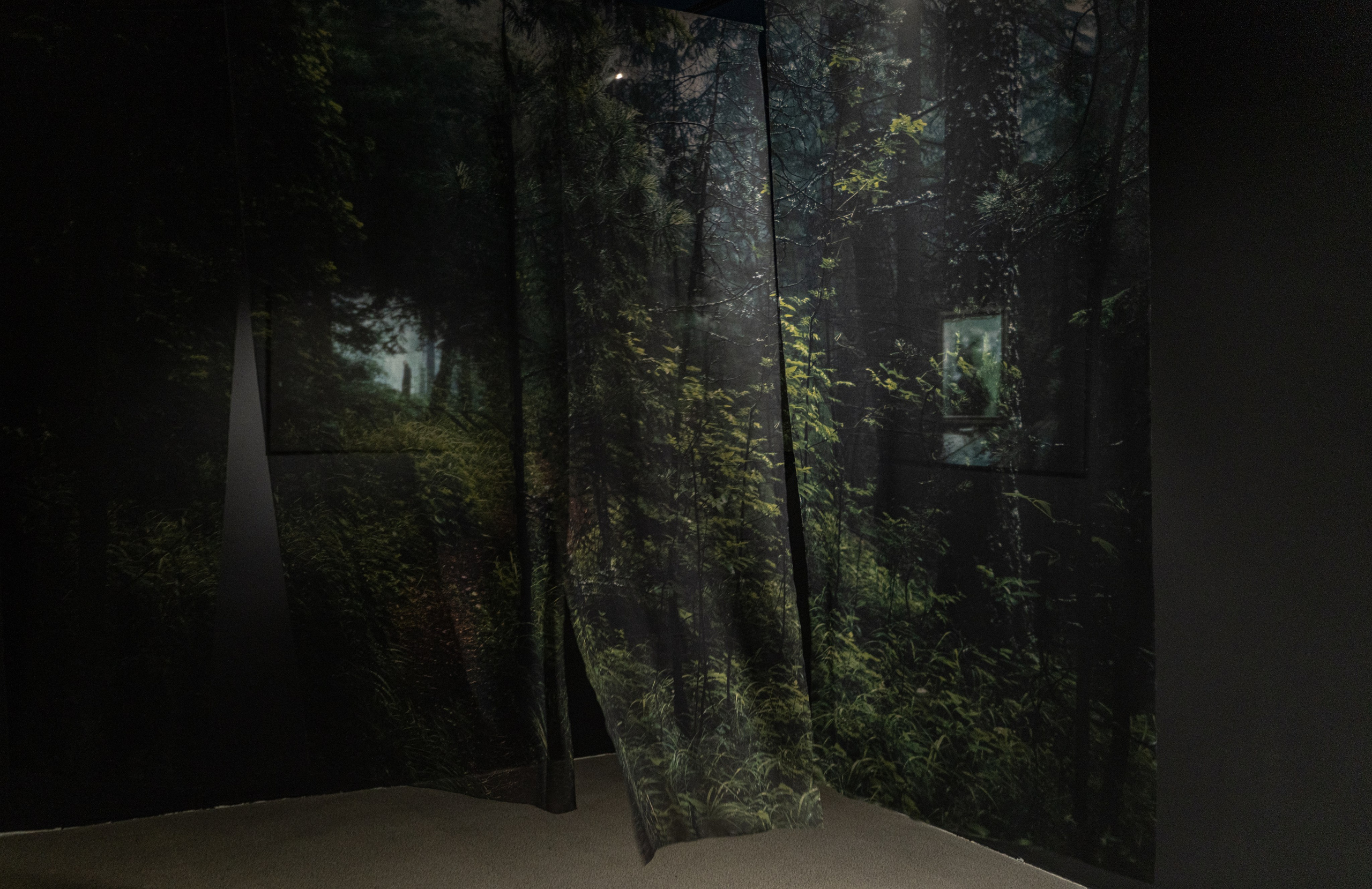 Пристанище. Элина Гусарова