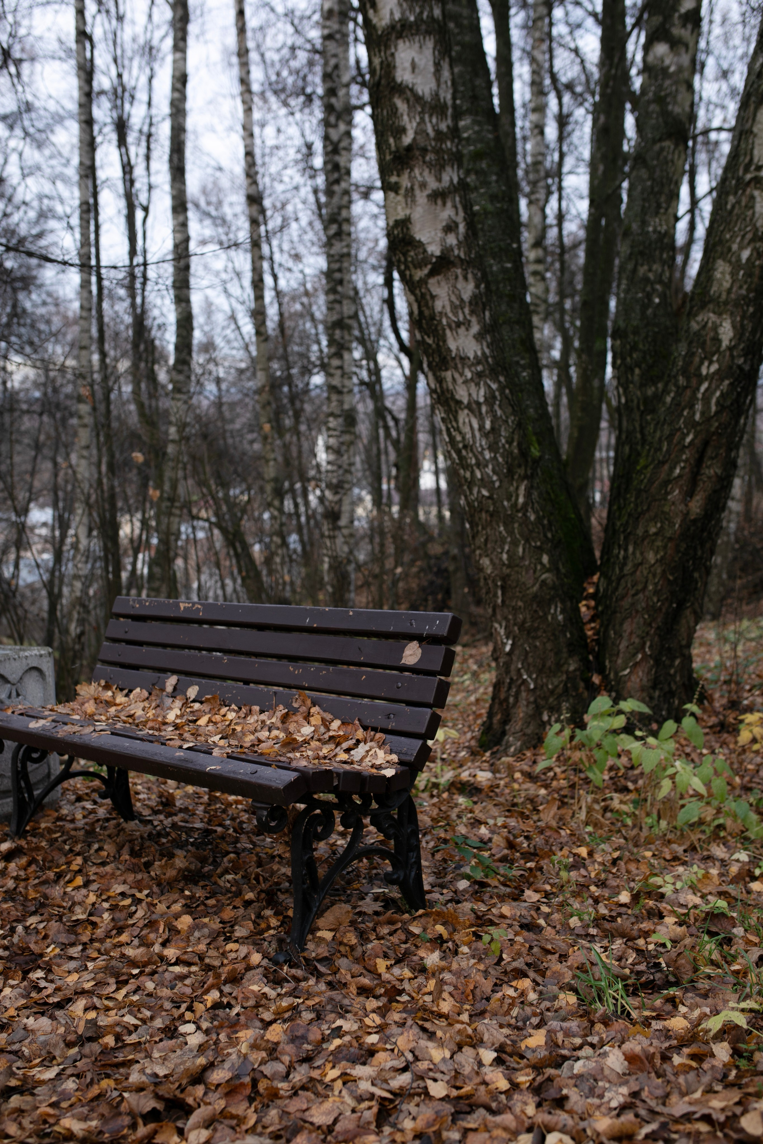 Муром — Гороховец'25. Фотограф-портретист в Москве