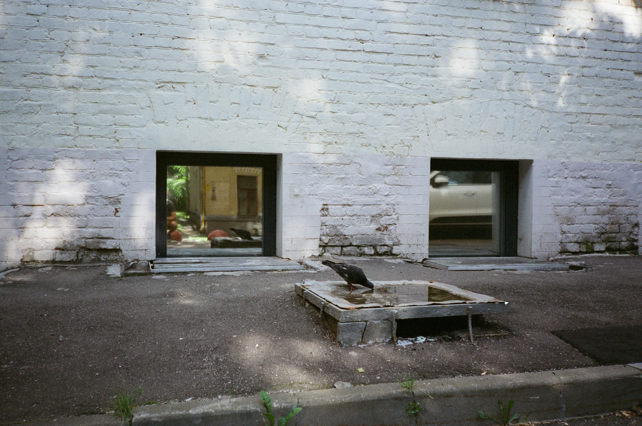 Групповые прогулки с пленочной фотокамерой по Москве. Плёночный фотограф, заказать фото на плёнку в Москве — Георгий Романов