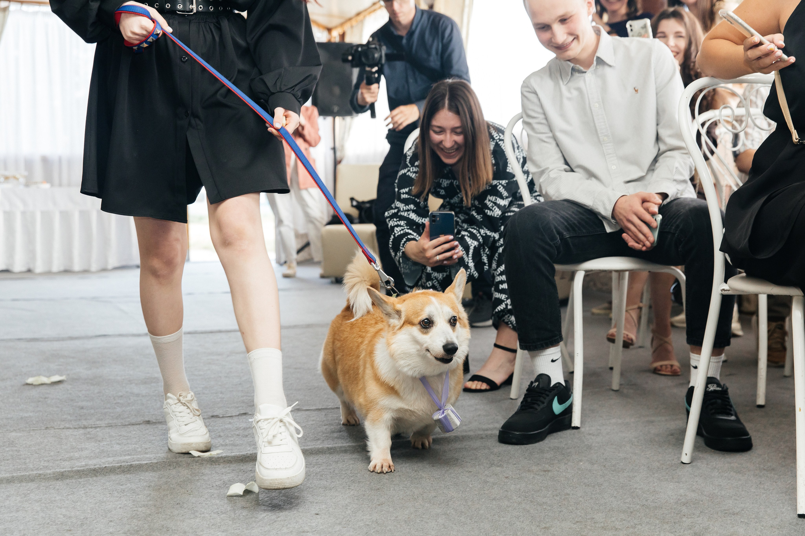 Влад и Анастасия. Свадебный фотограф Настя Шелл г. Череповец