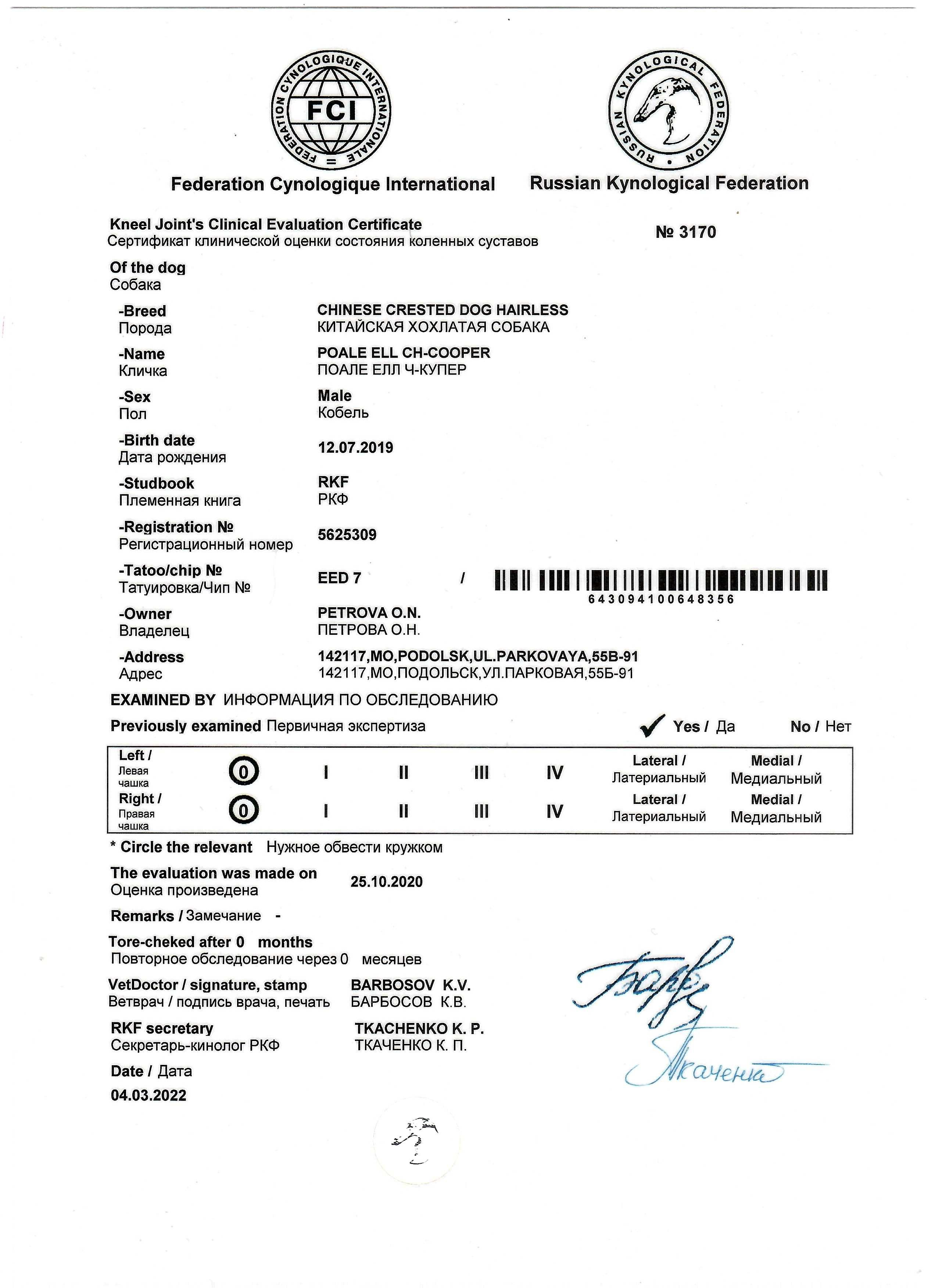 Poale Ell Cooper. Chinese Crested Dog Kennel Poale Ell