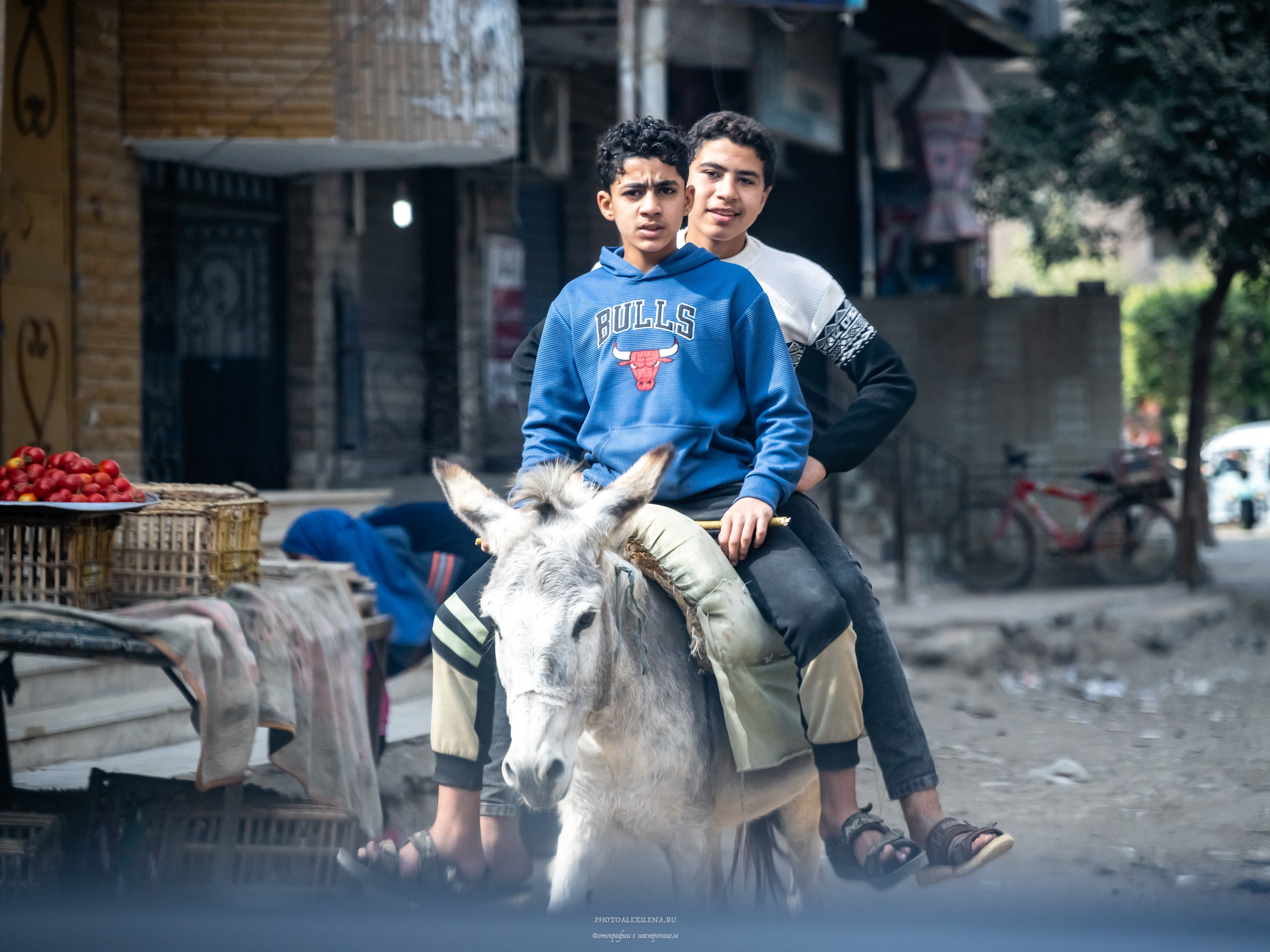 Каир самобытный и сумасшедший. Авторские стильные фотокартины