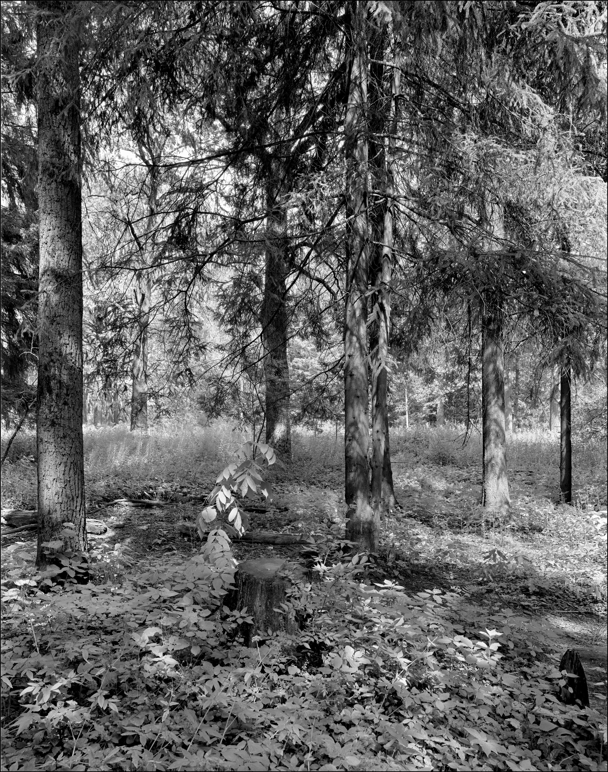 Landscape. Sergey Kondriuk art-photographer | artist