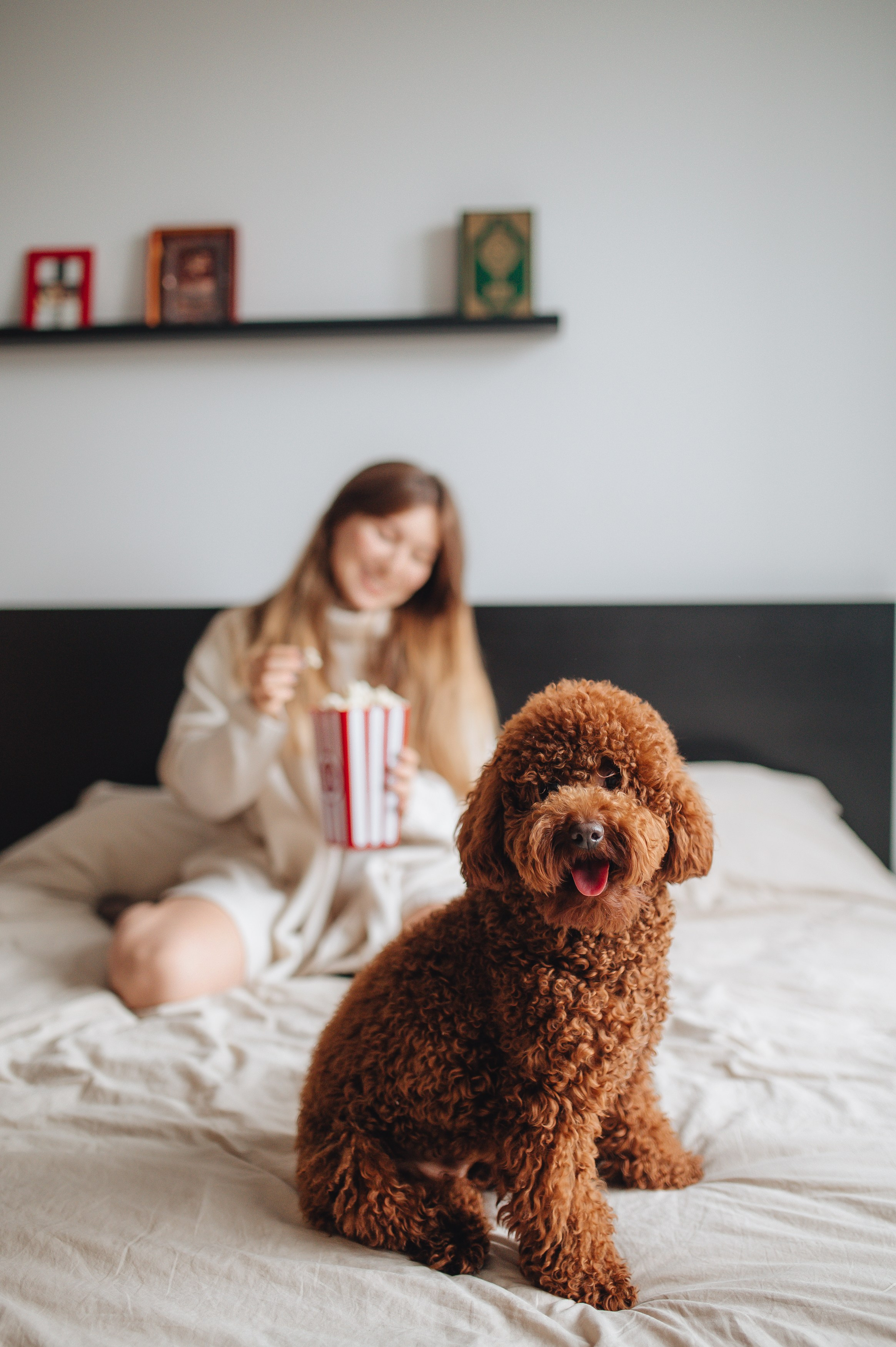 Серии. Фотограф Прага | Photographer Prague| Фотограф в Праге Яра Куркус