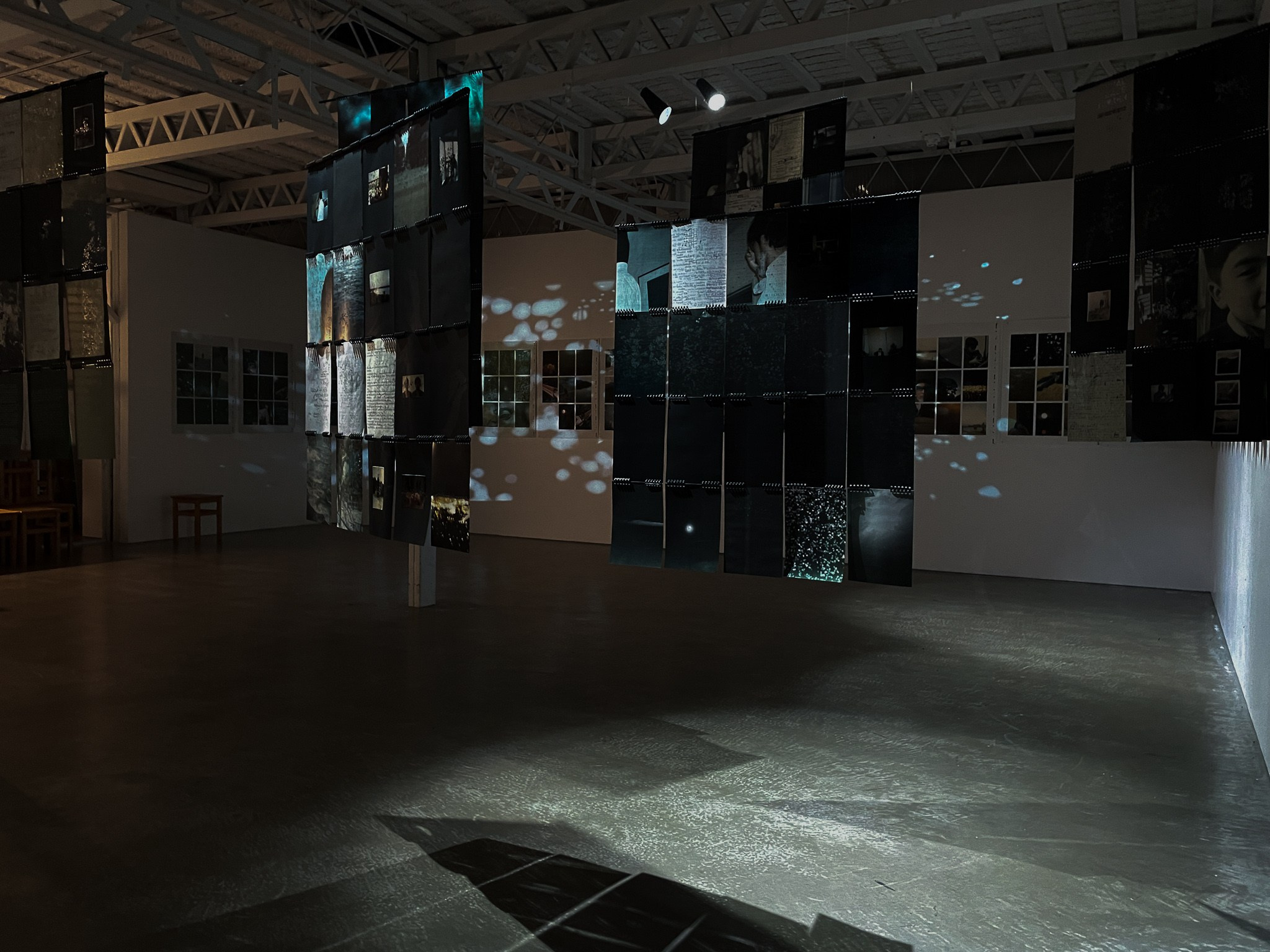 ИНТЕРВЬЮ С АВТОРАМИ: MOE SUZUKI. Самоорганизация Низина