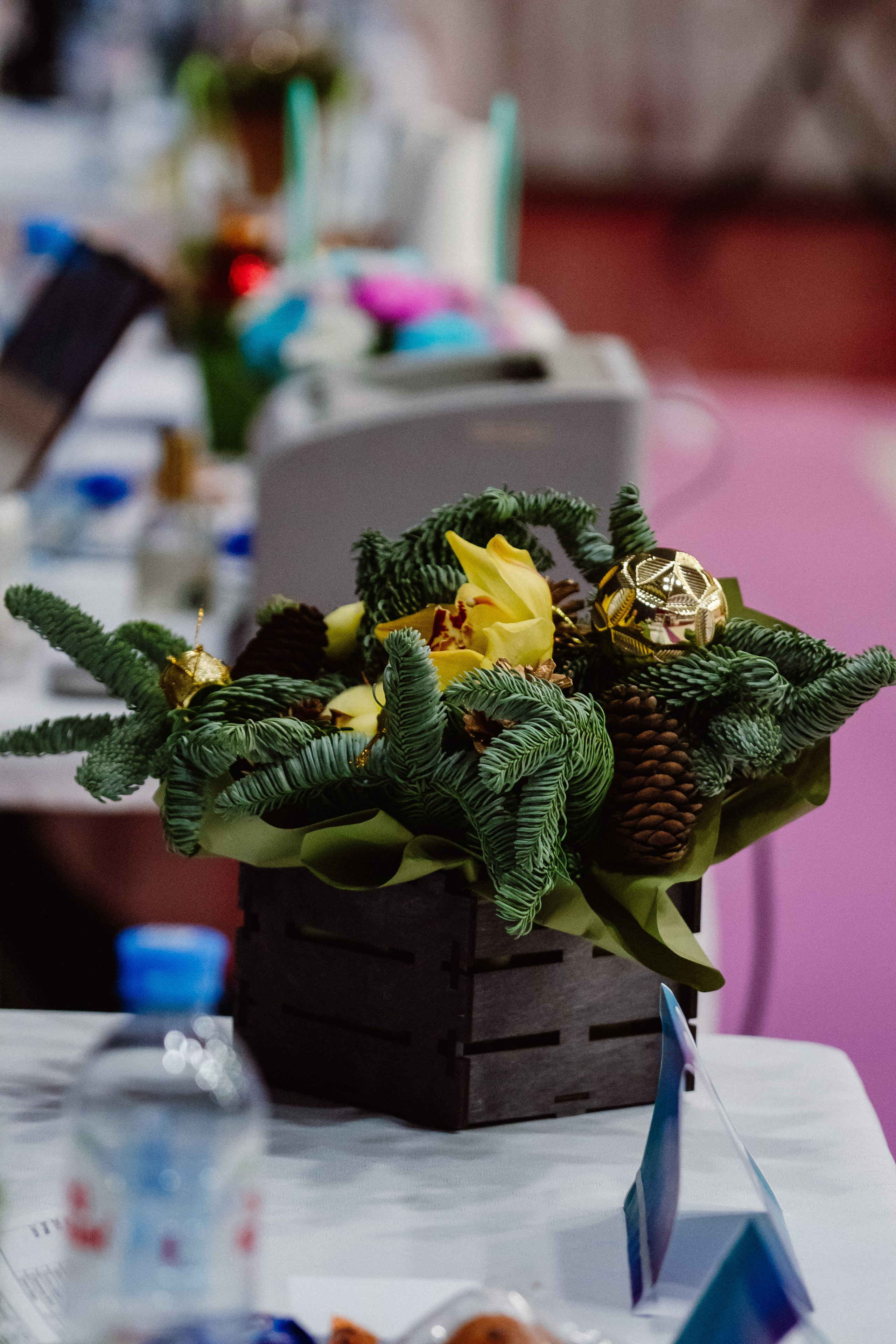 Winter Cup. Воробьева Ксения — Спортивный и танцевальный фотограф Новосибирск