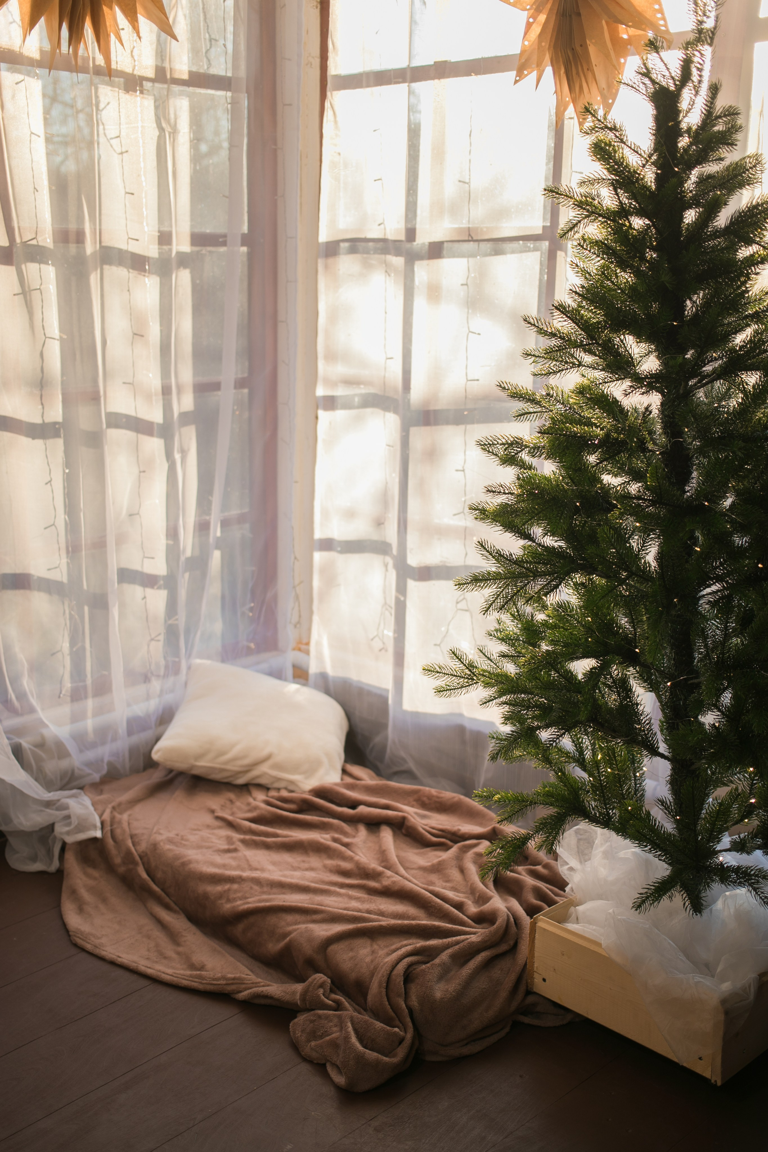 Фотодача новый год 2025-2026. Семейный фотограф в Москве Домодедово Московцева Алина